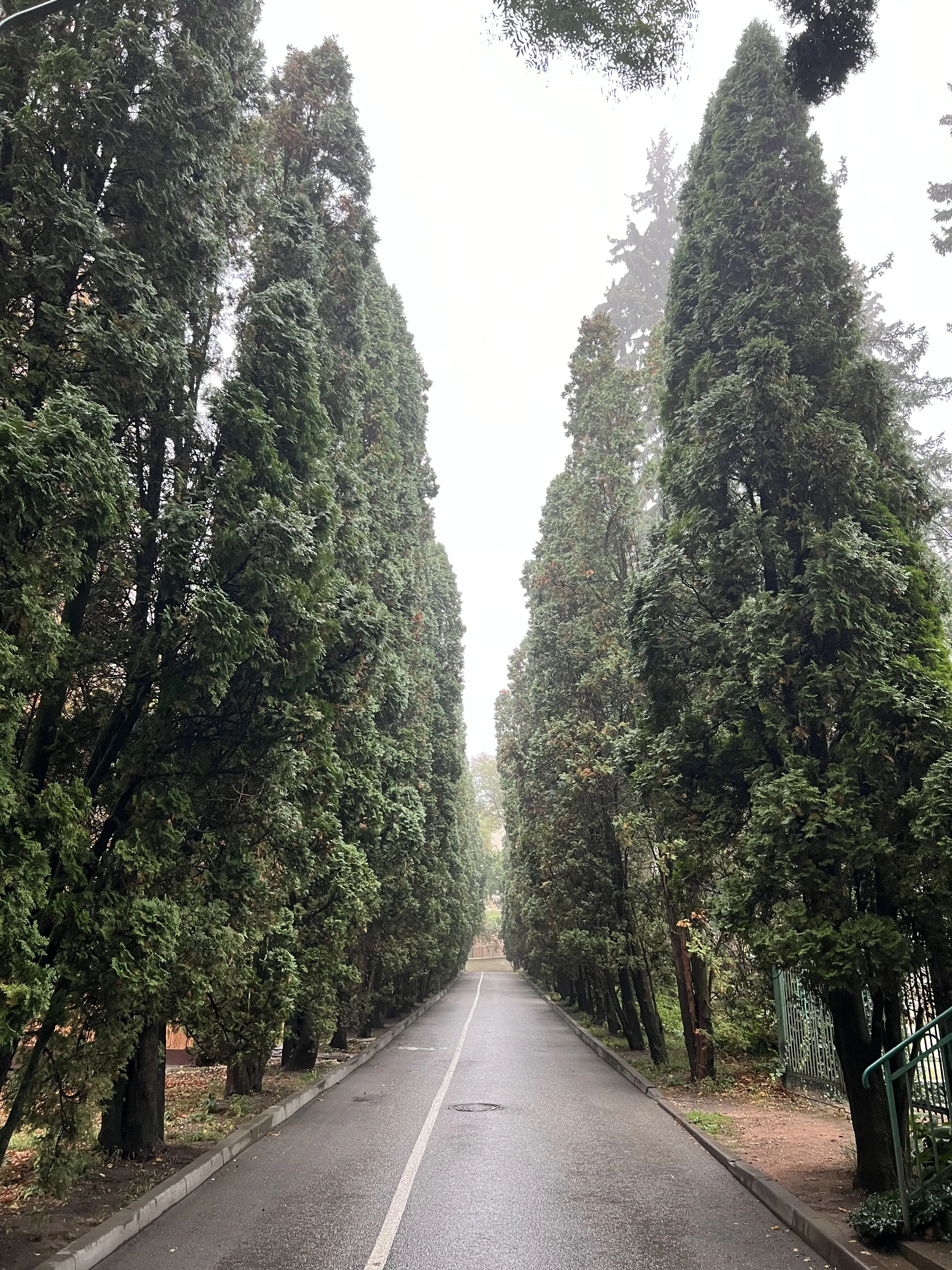 Прогулка на память