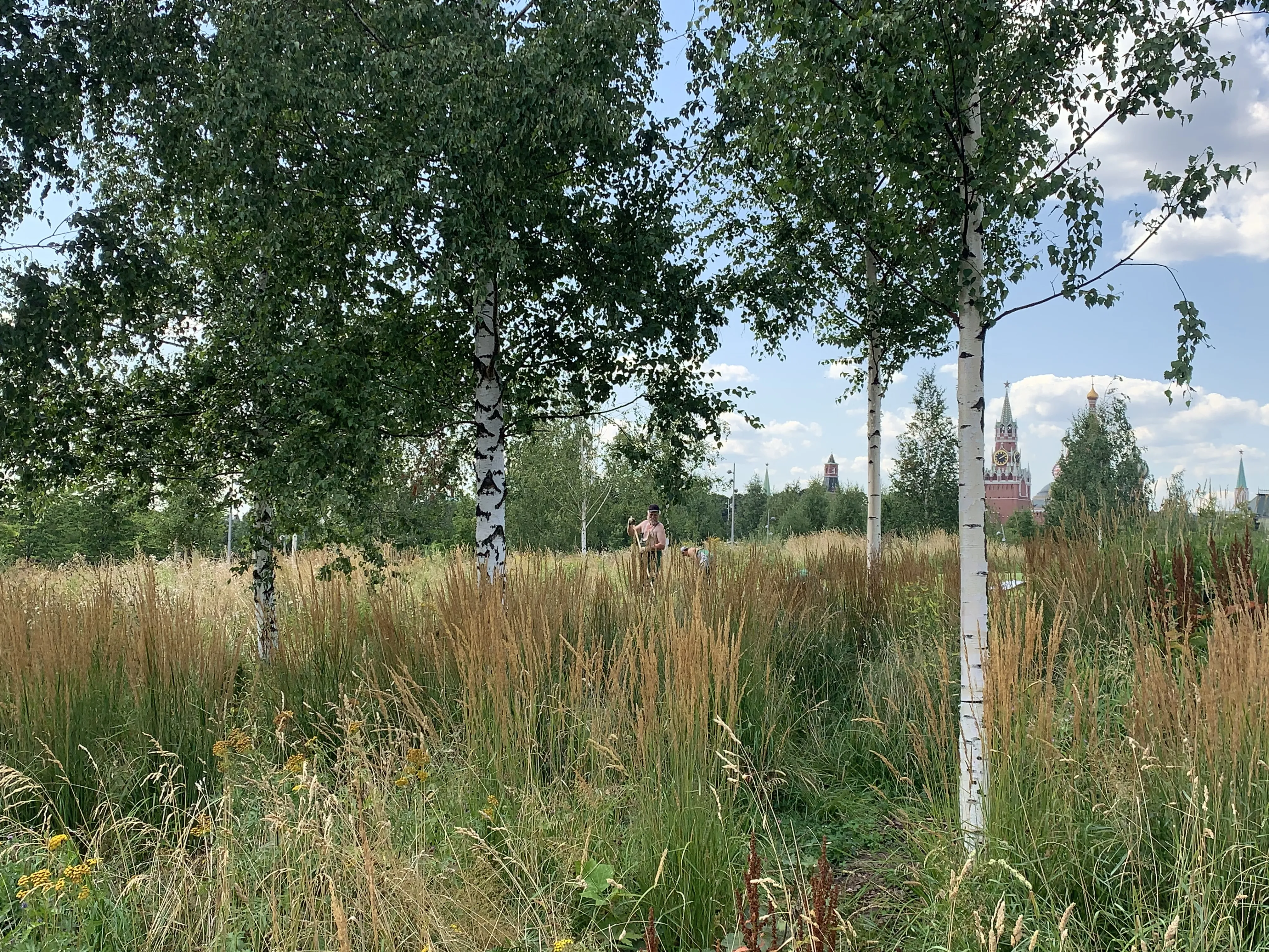 Русская Идея