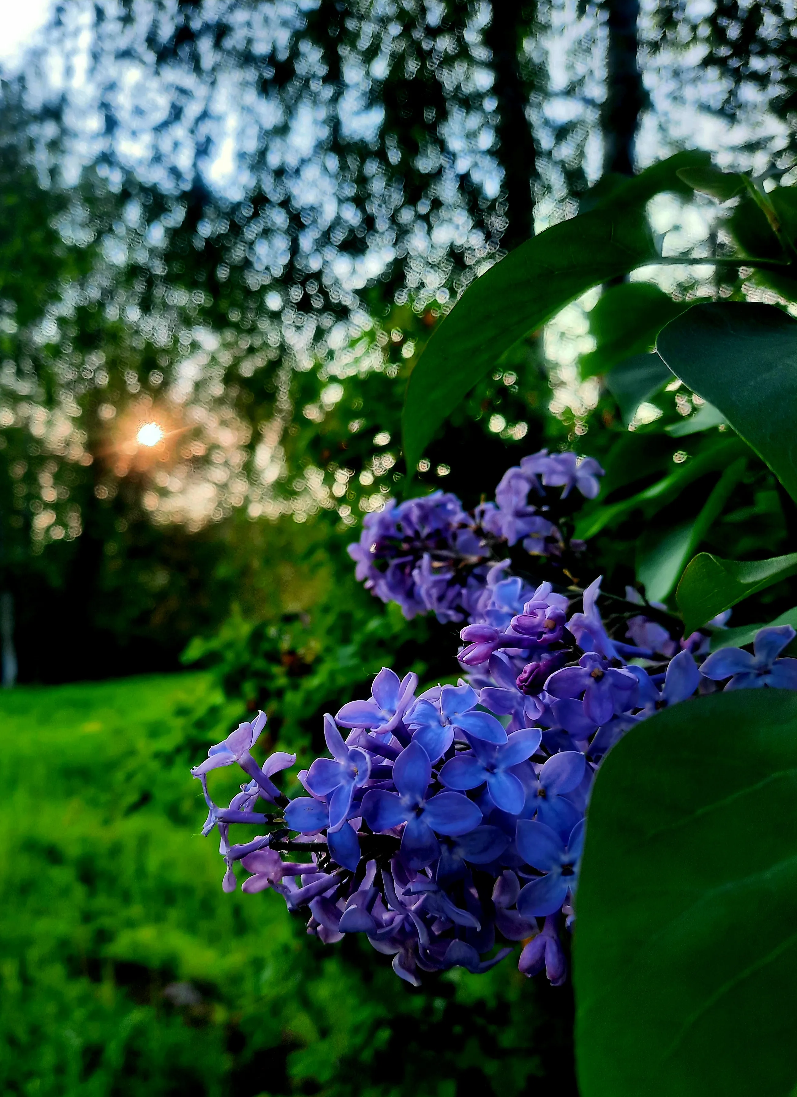 На пороге лета