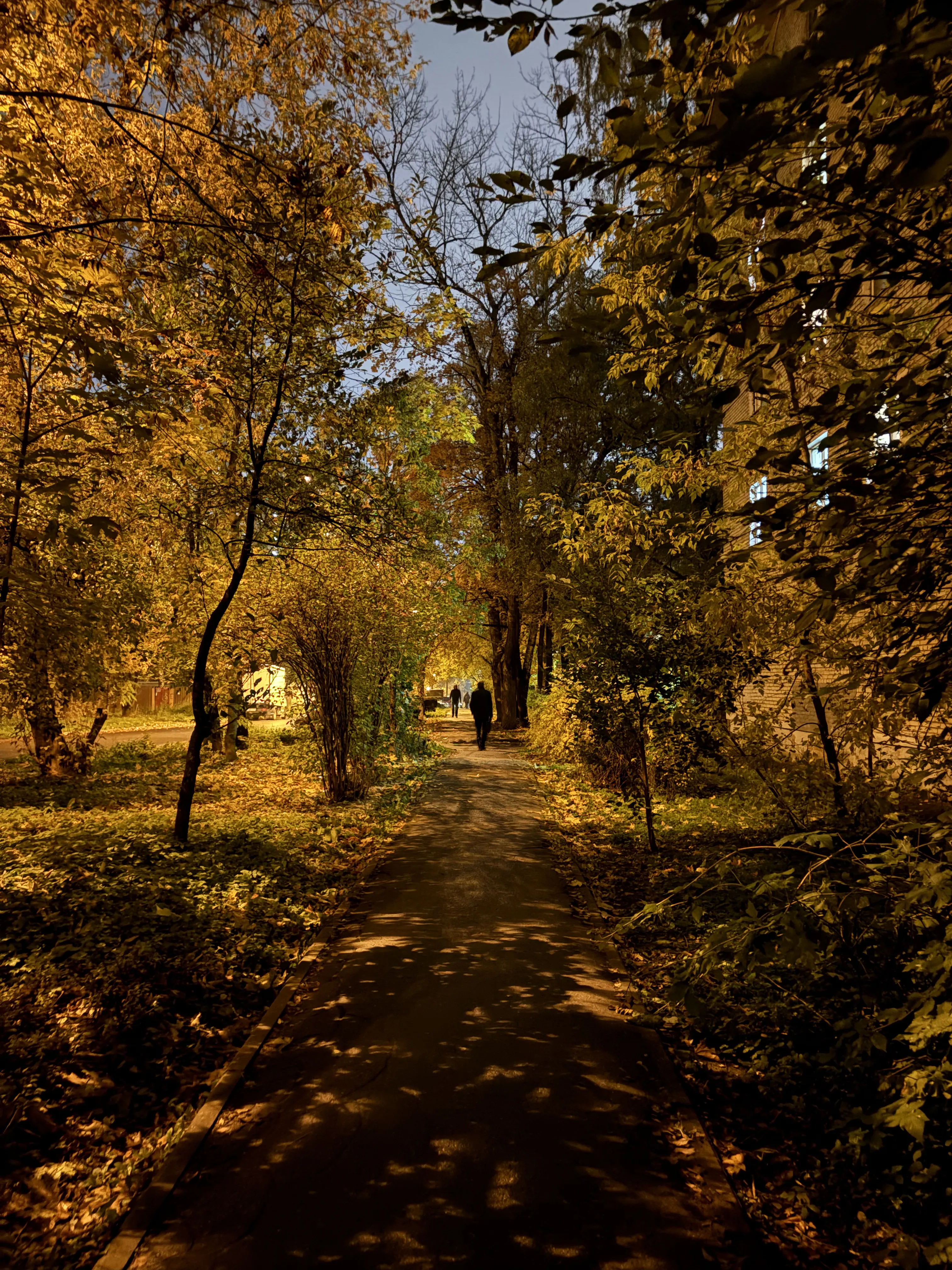 Золотая осень