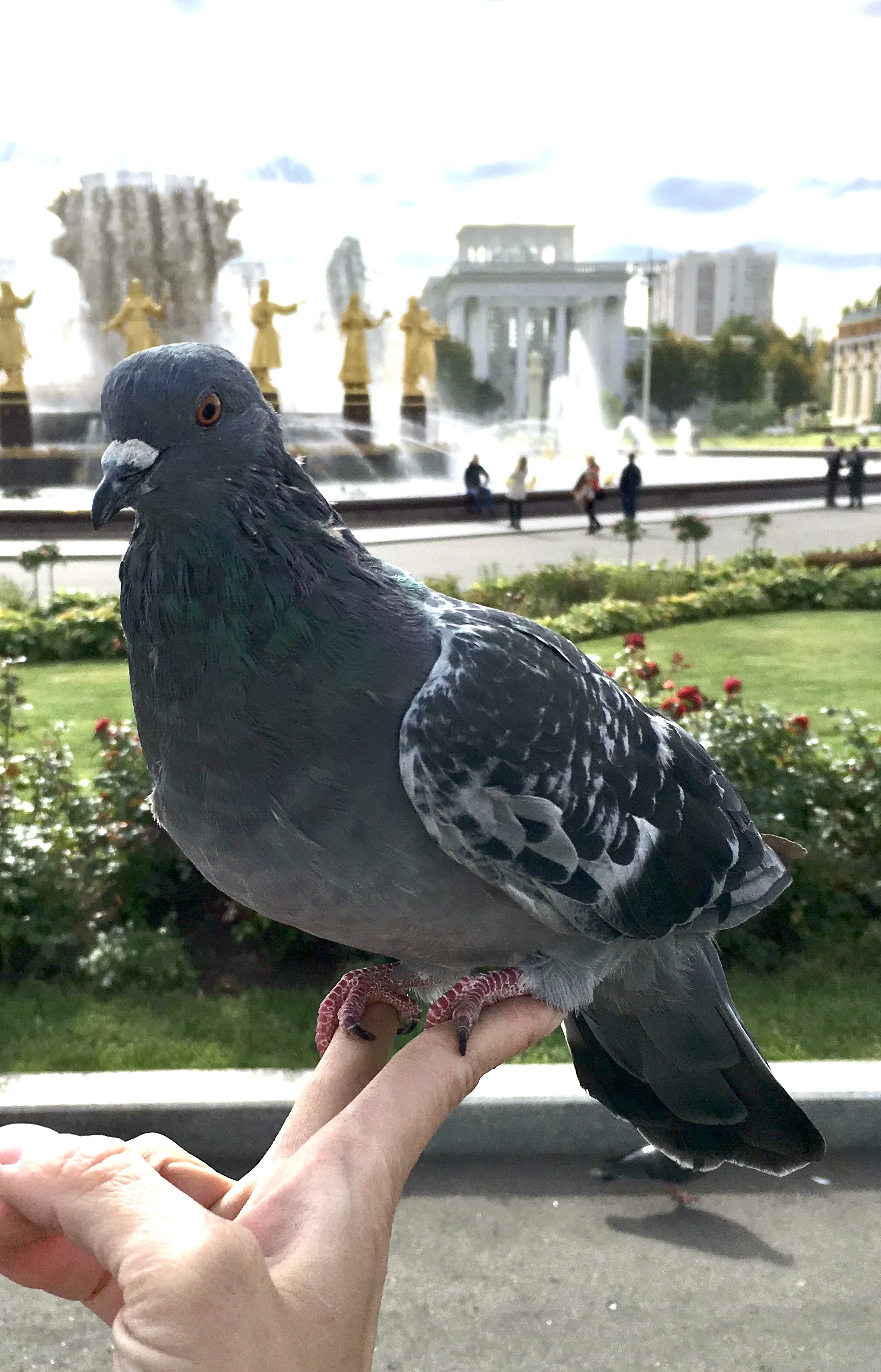 Доверие на кончике пальцев