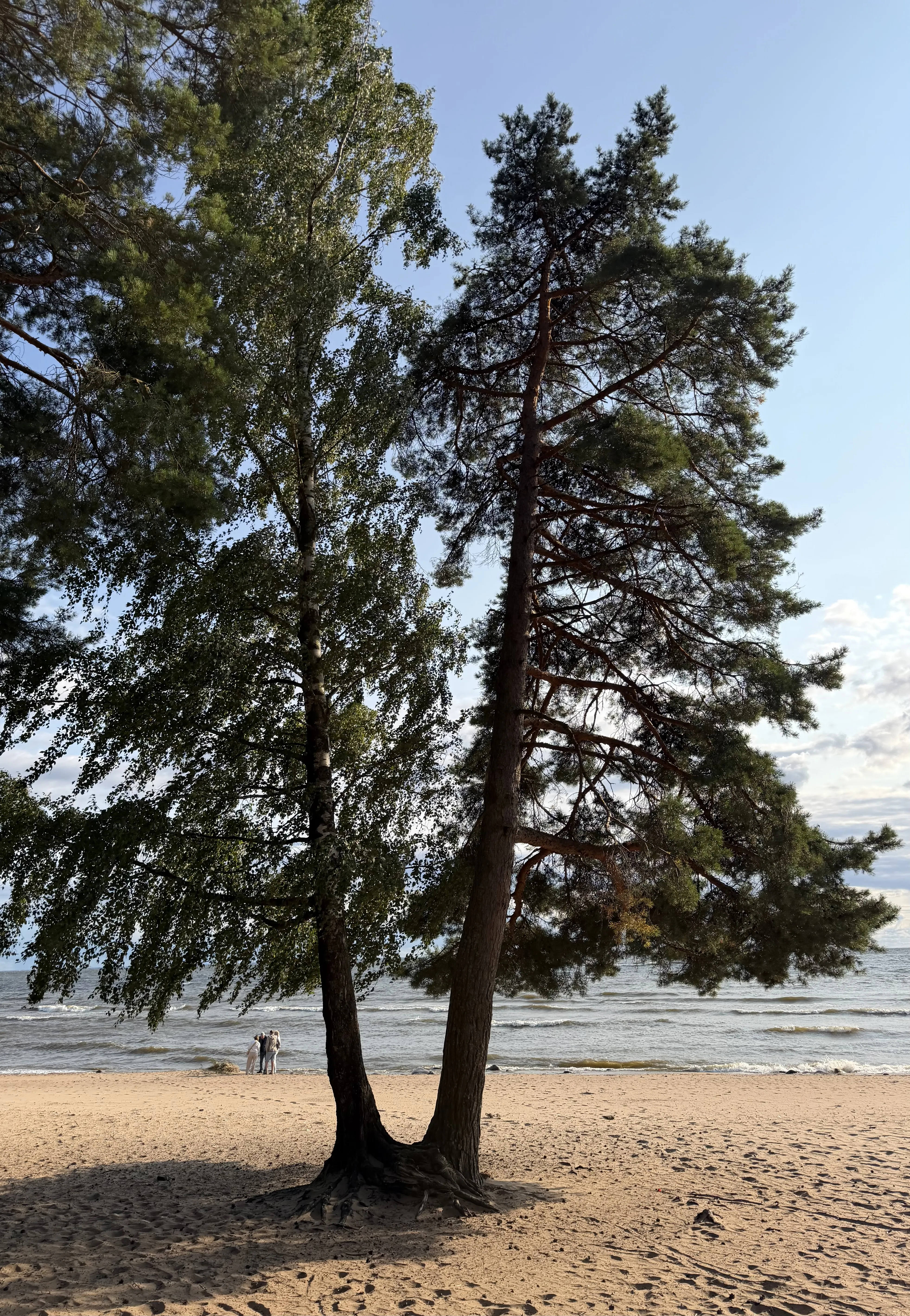 Чудеса природы