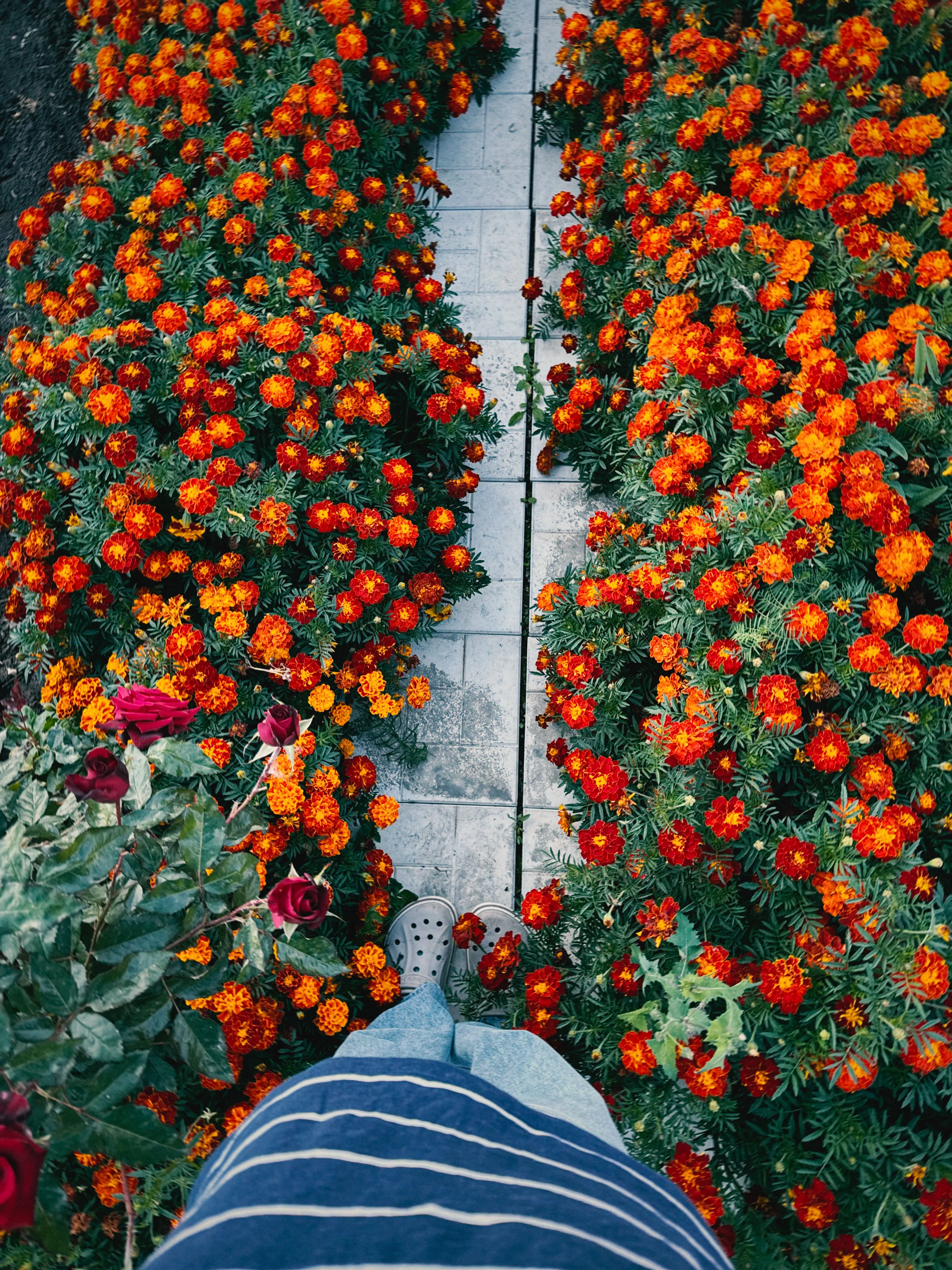 Та самая искра