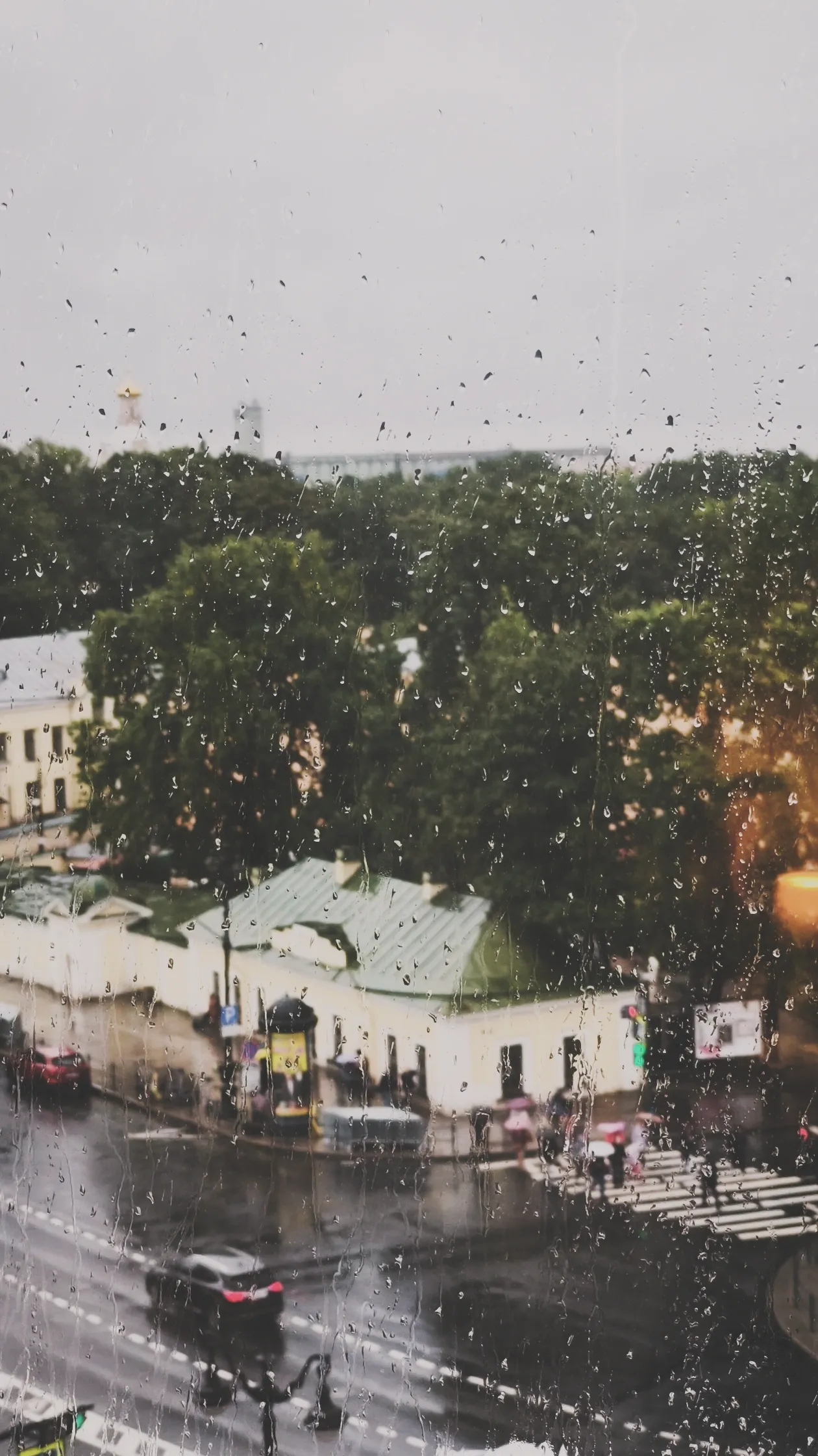Вид из окна