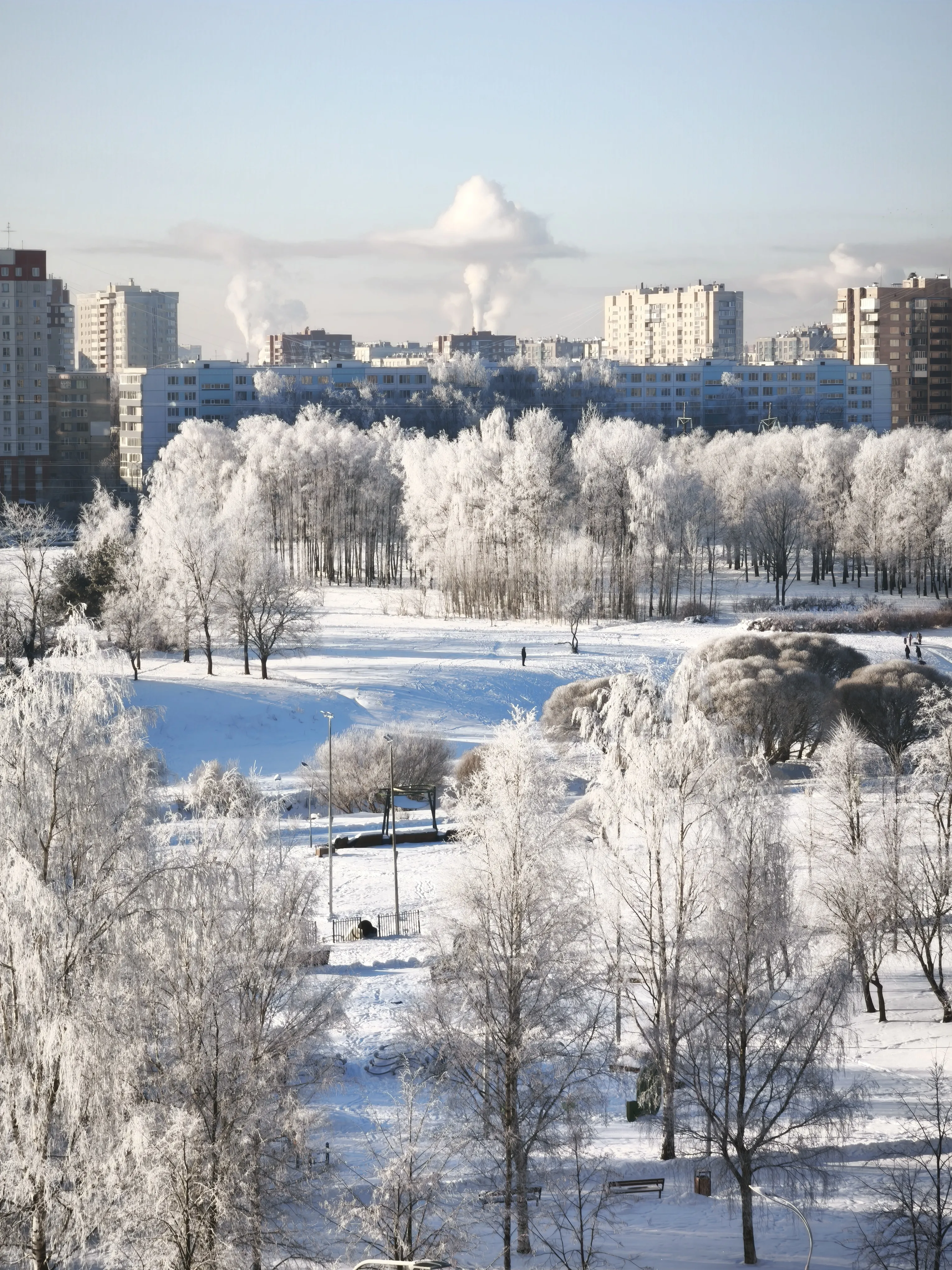 Морозное утро