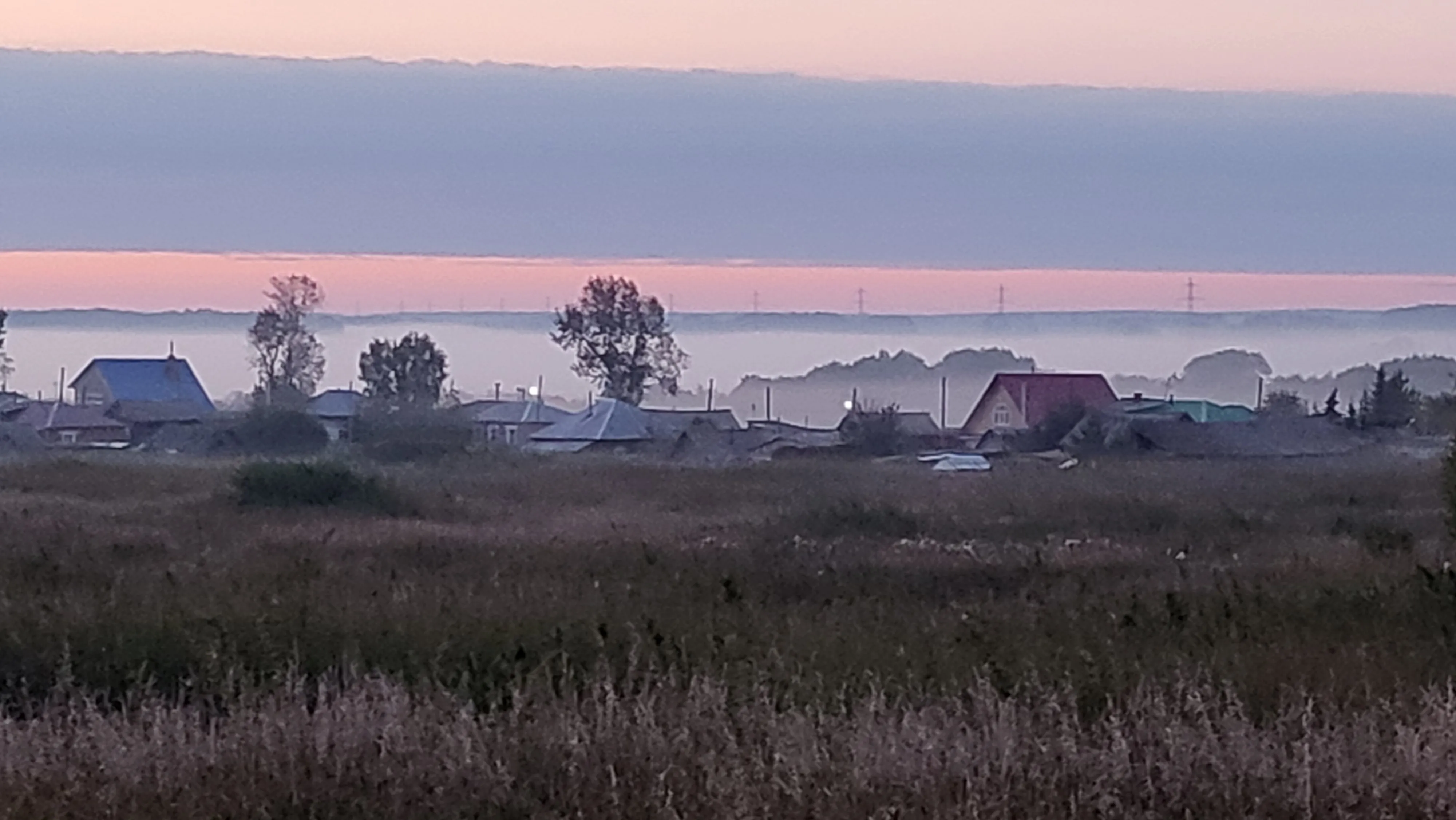Розовая тишина