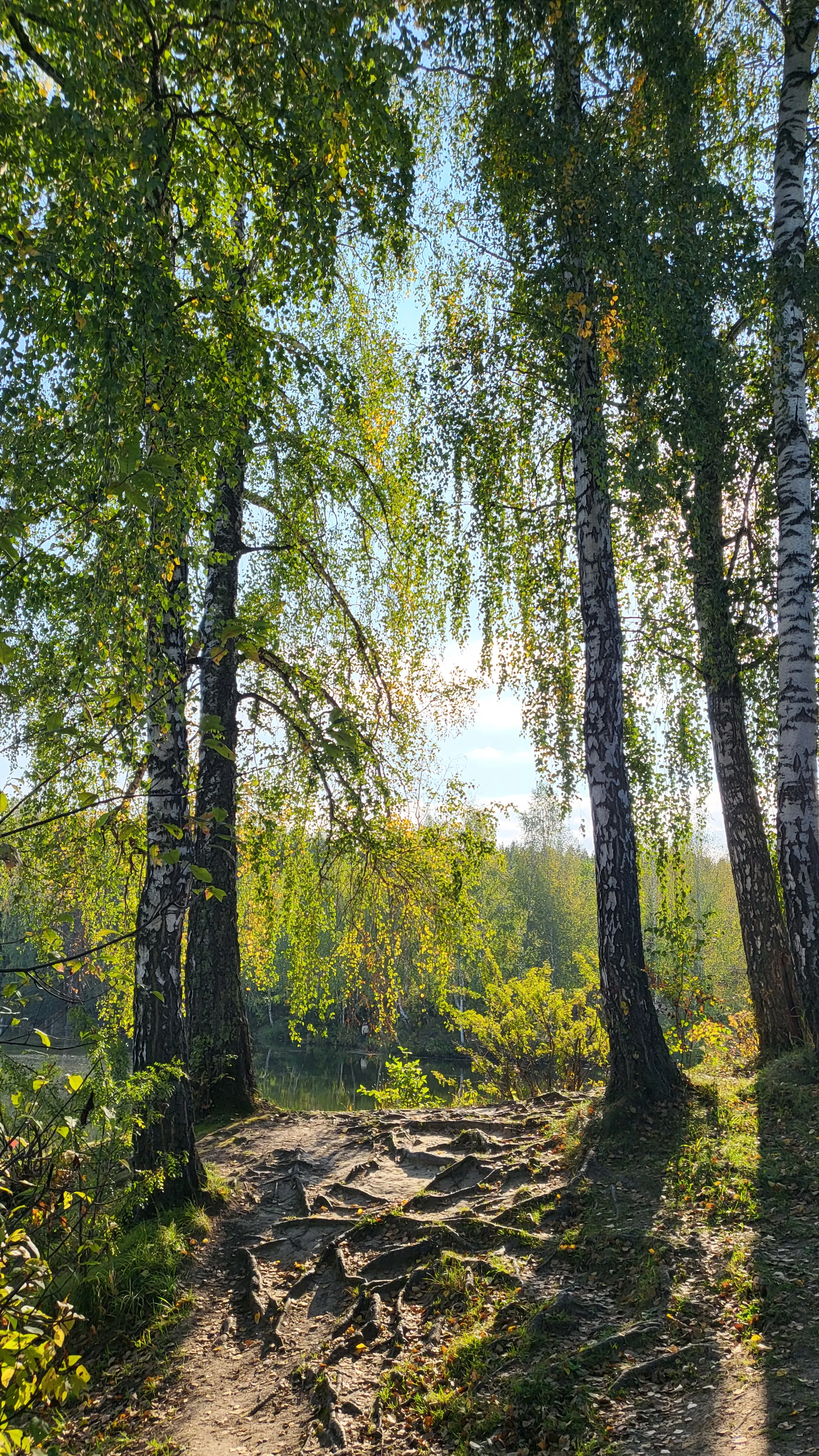 Неразлучные подружки