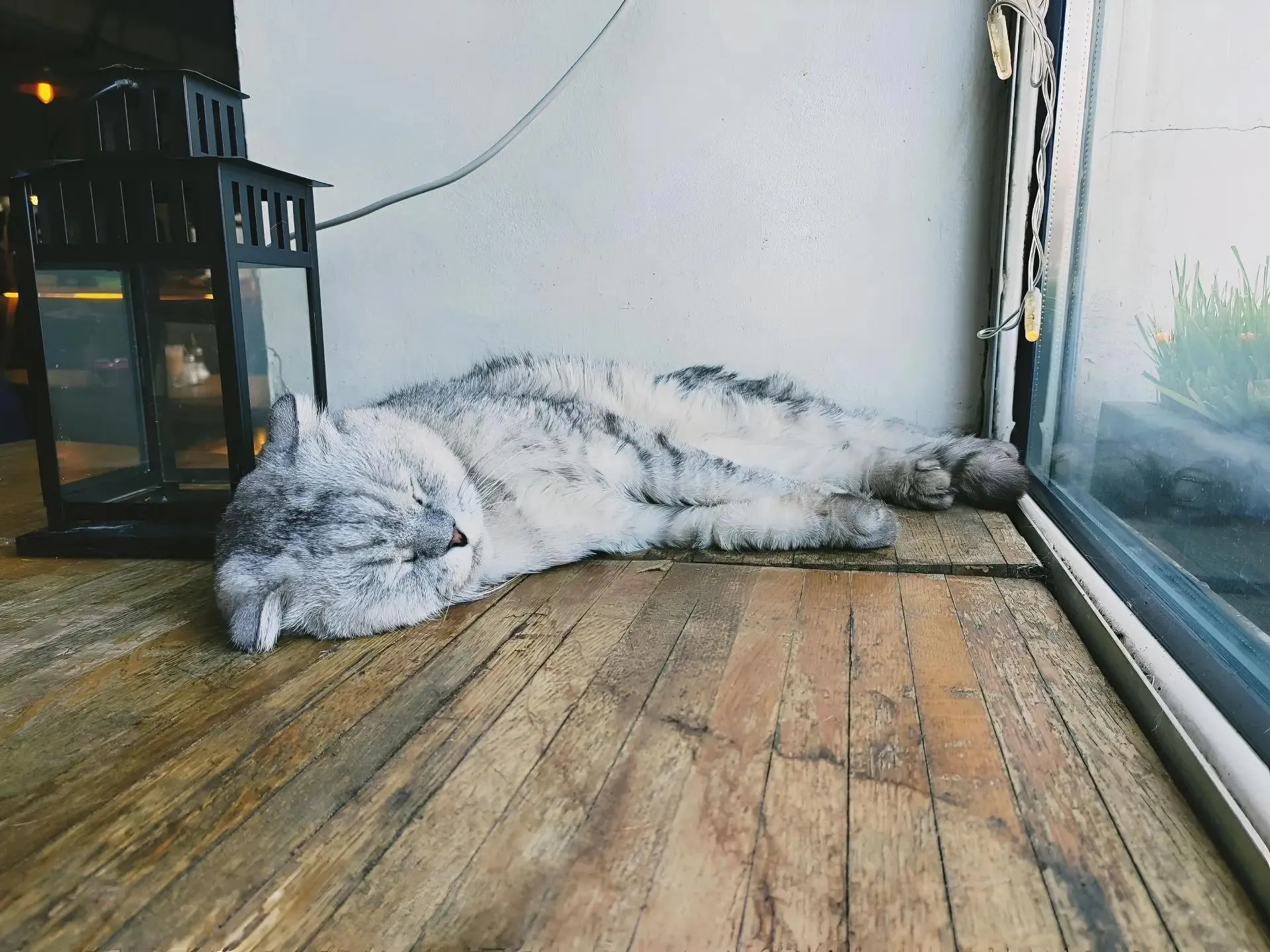 Абсолютное доверие