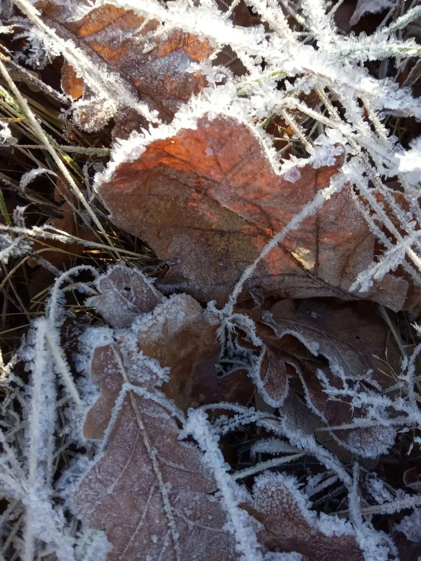 "Касание зимы"