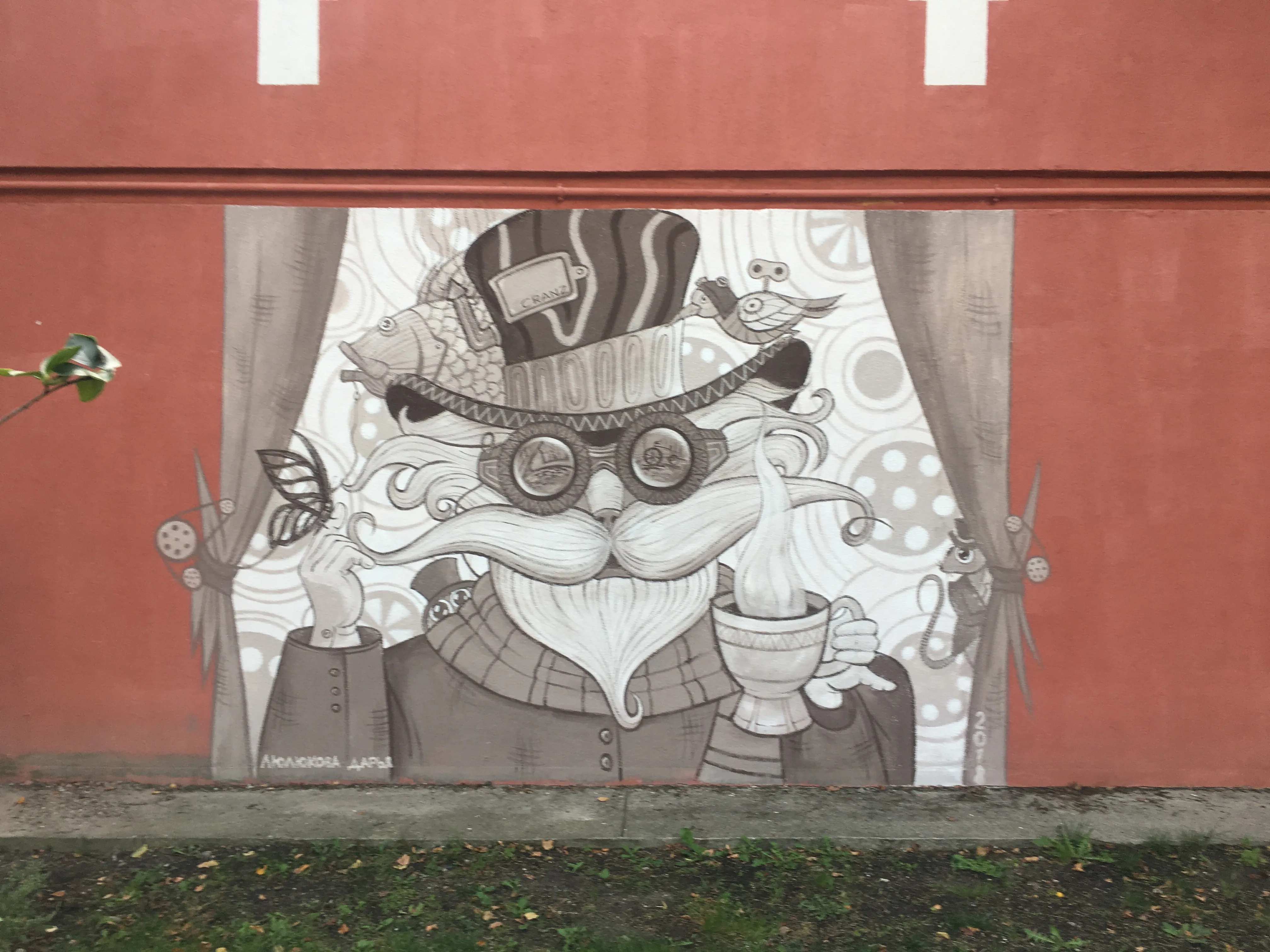 6S и котики Зеленоградска