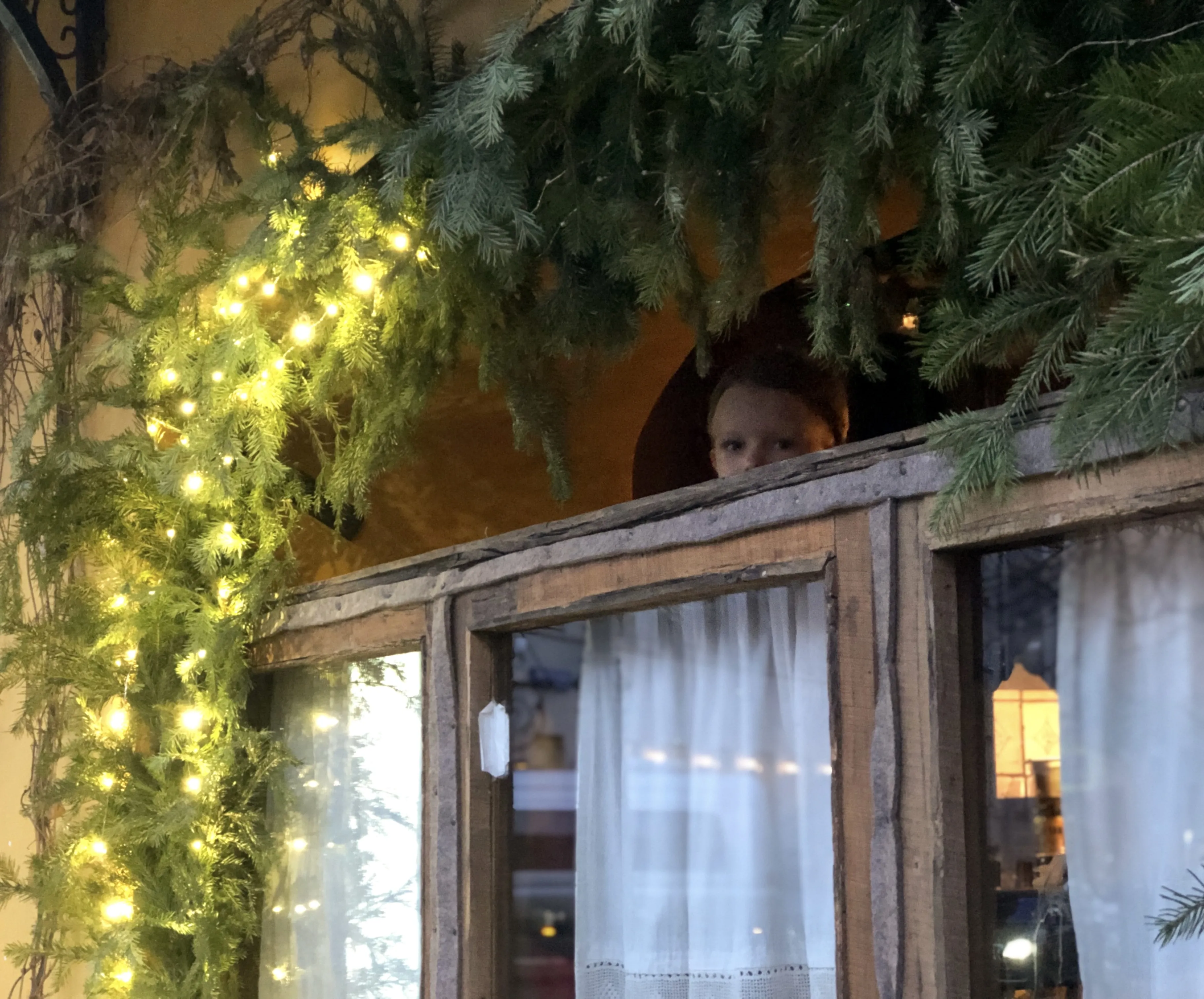 Живое окно