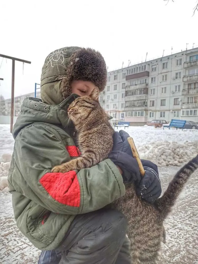Благодарный котик