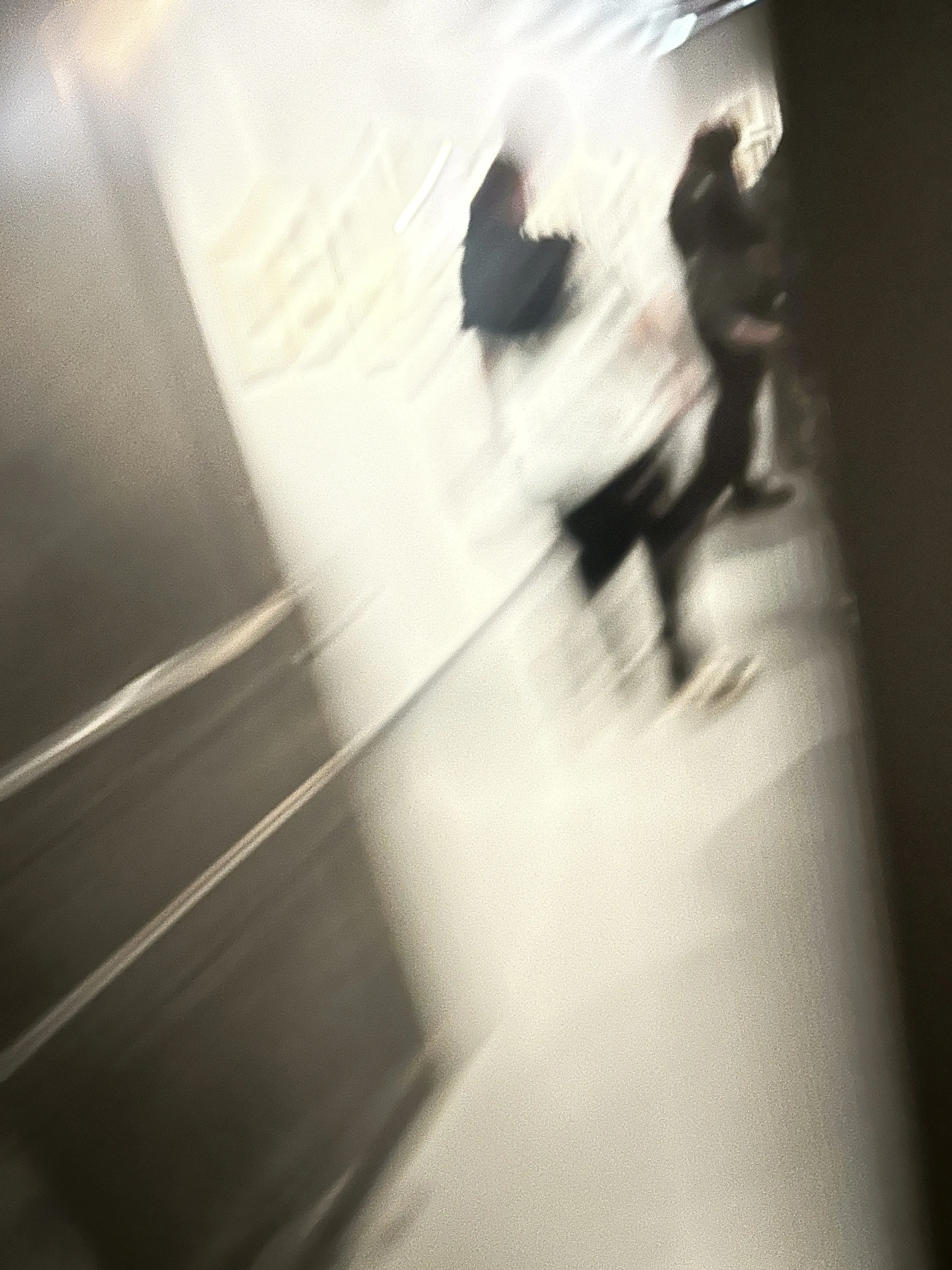 A VANTURA