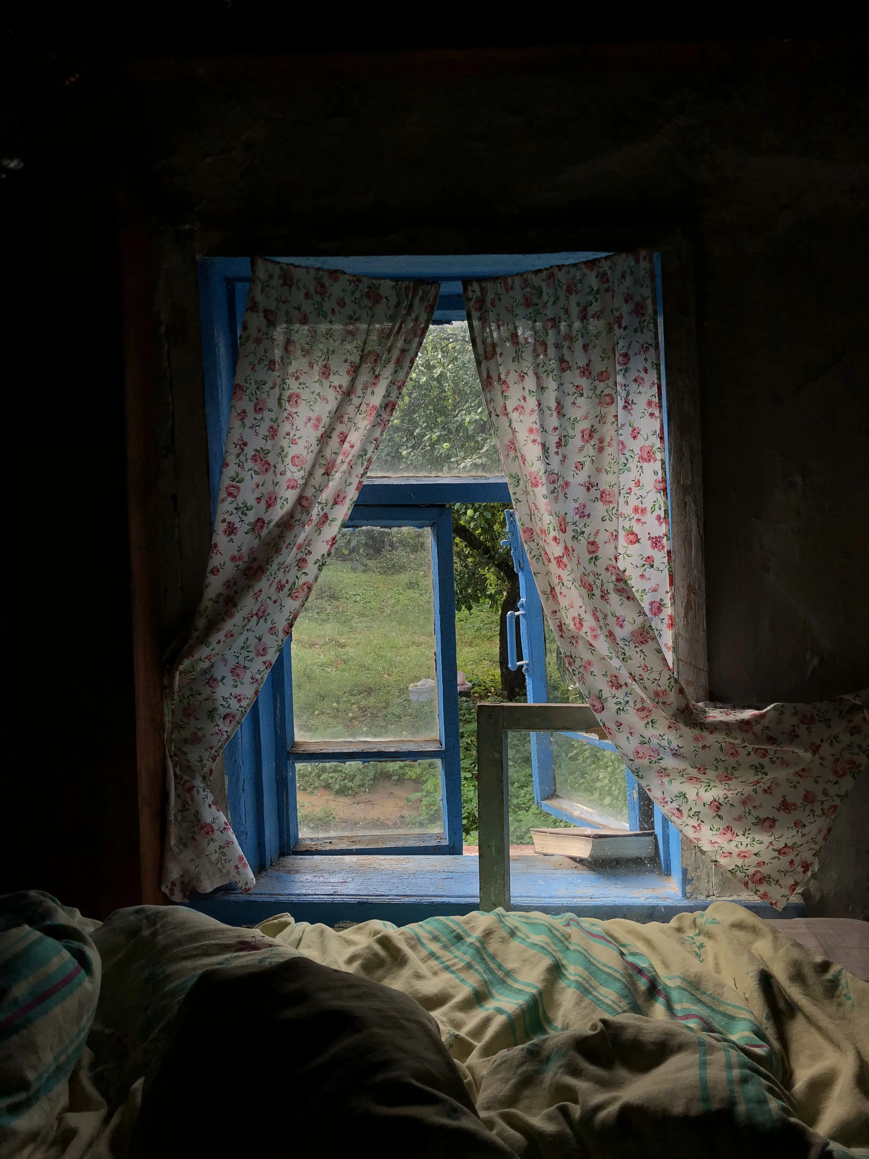 Окно в лето