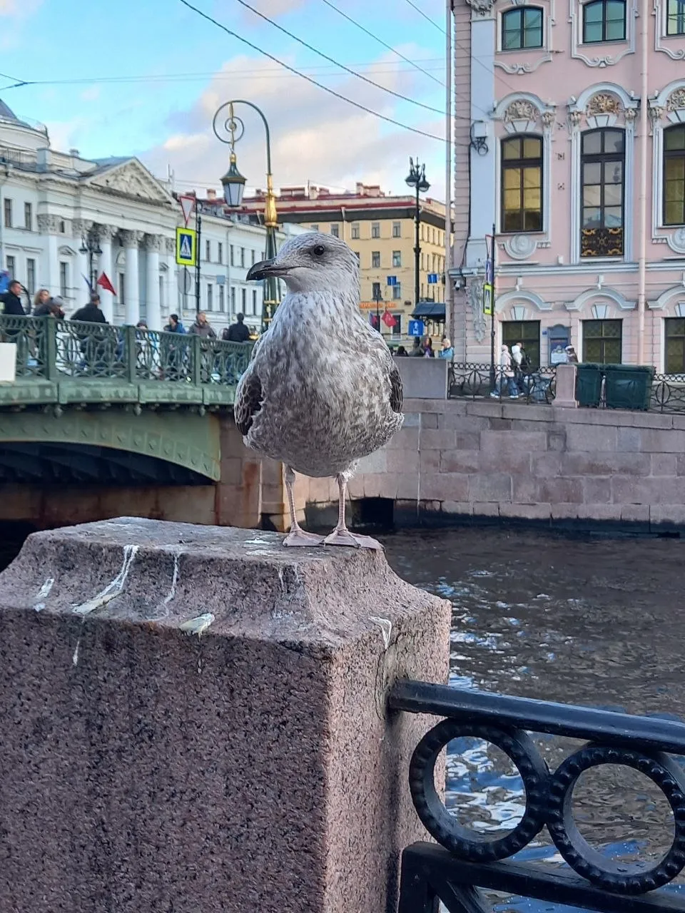 Красавчик!