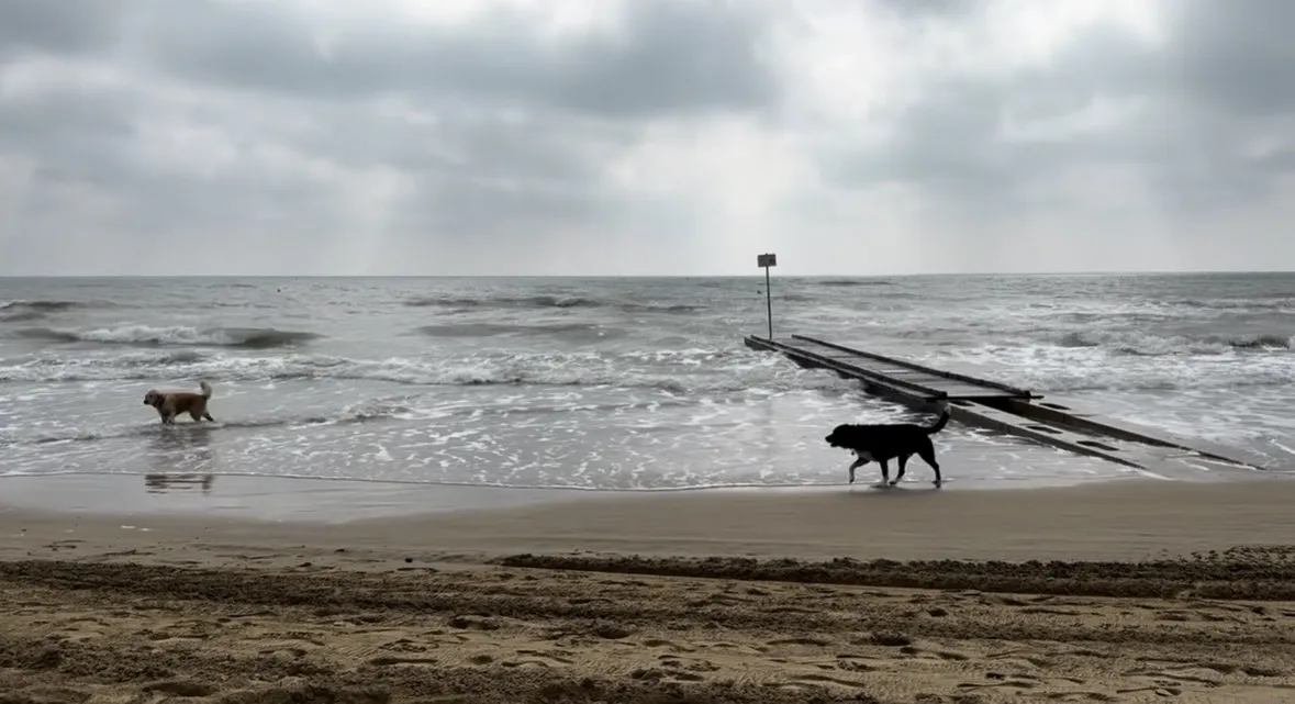 Вместе весело шагать