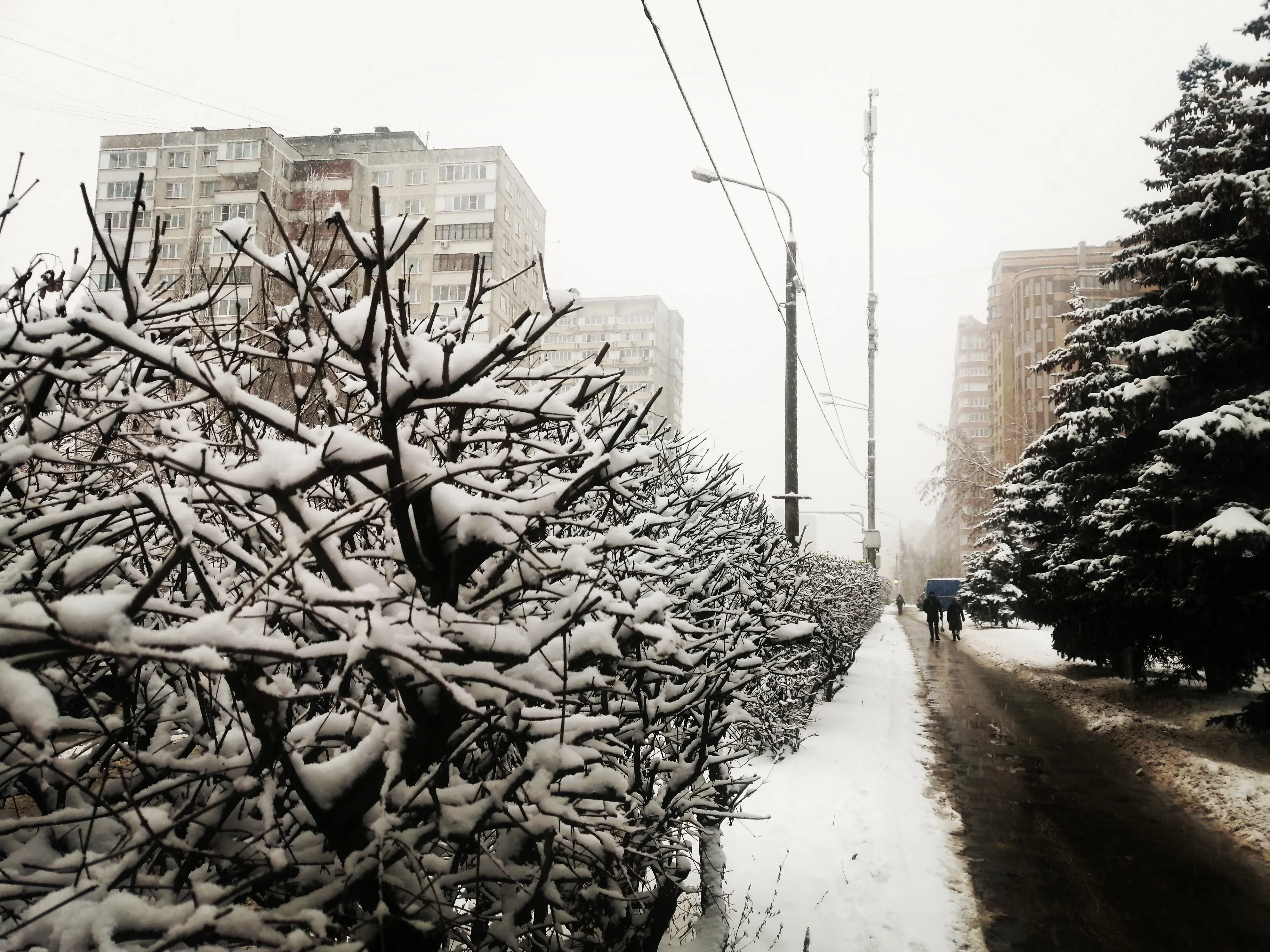Опять метель...