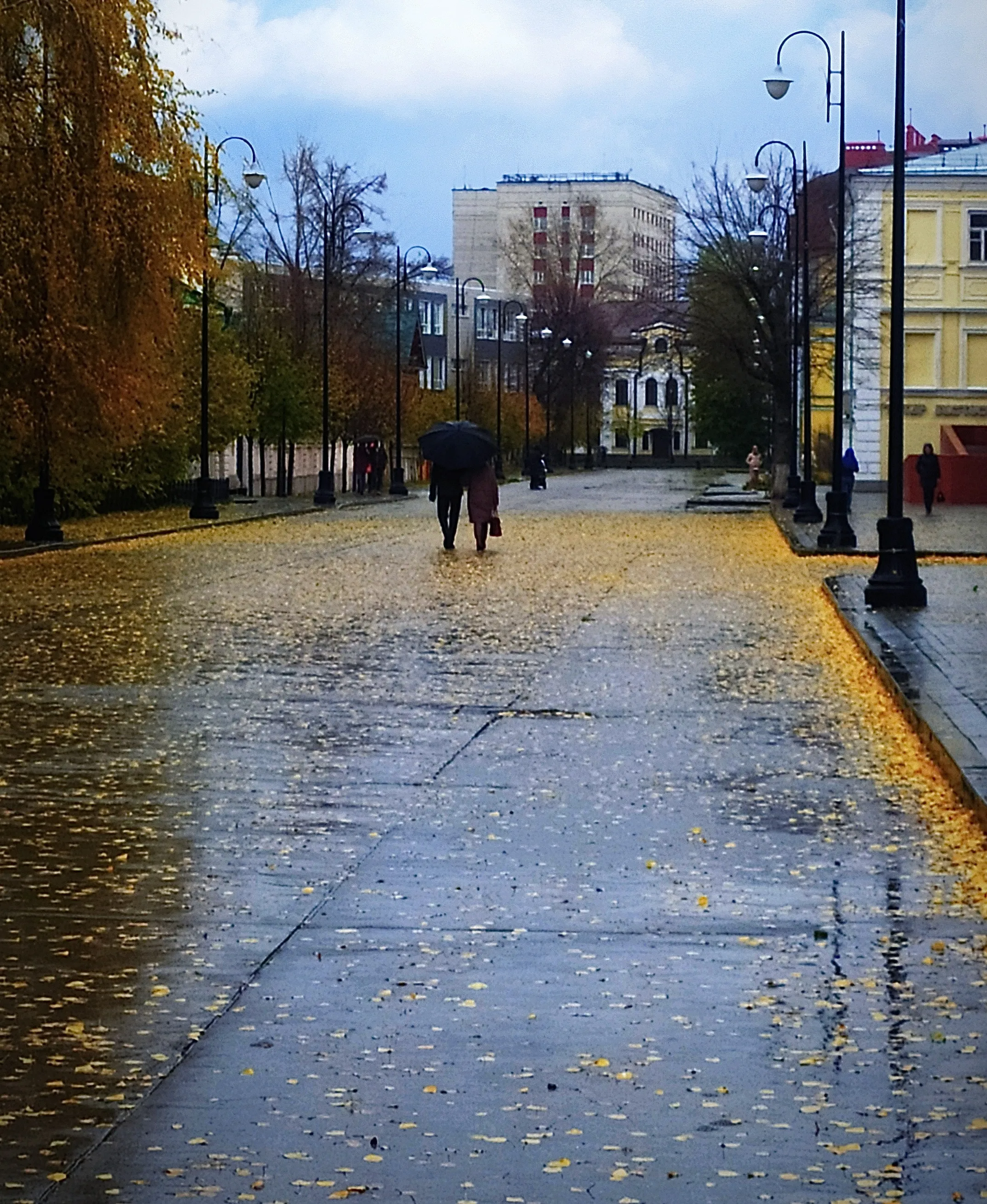 Осенняя прогулка