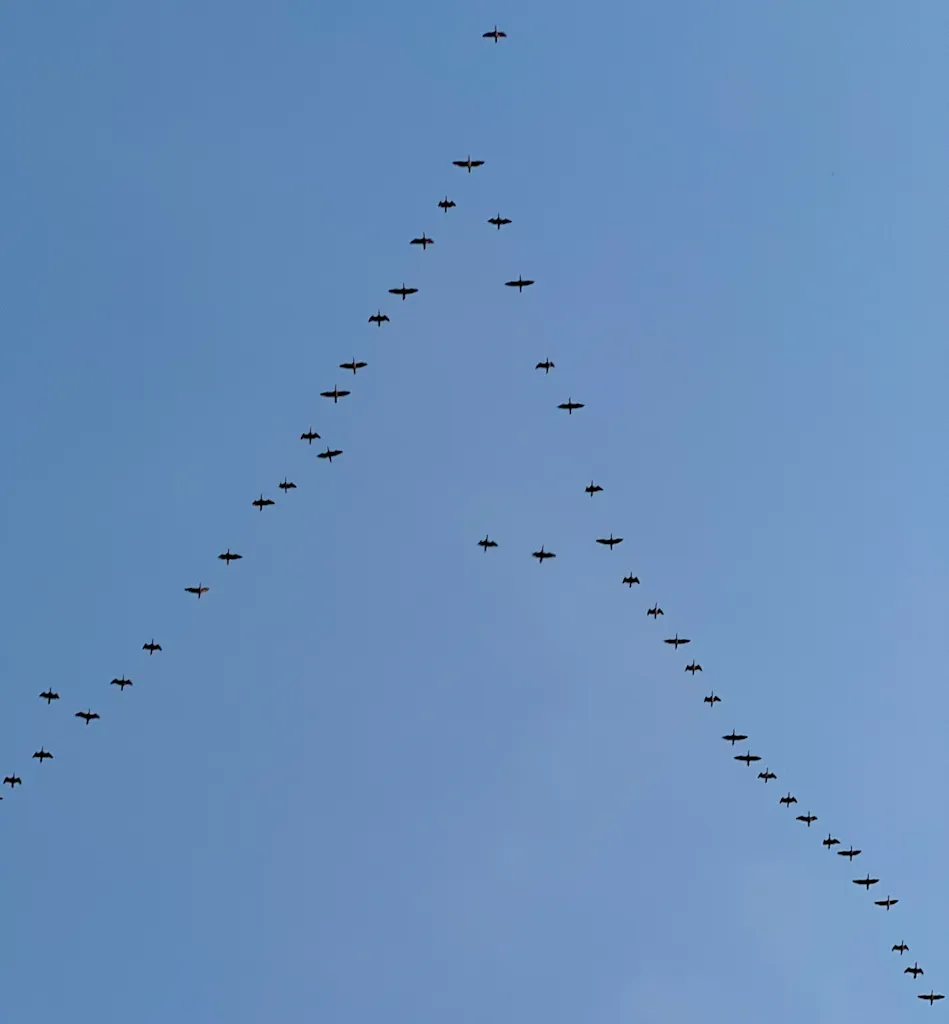 И снова в путь