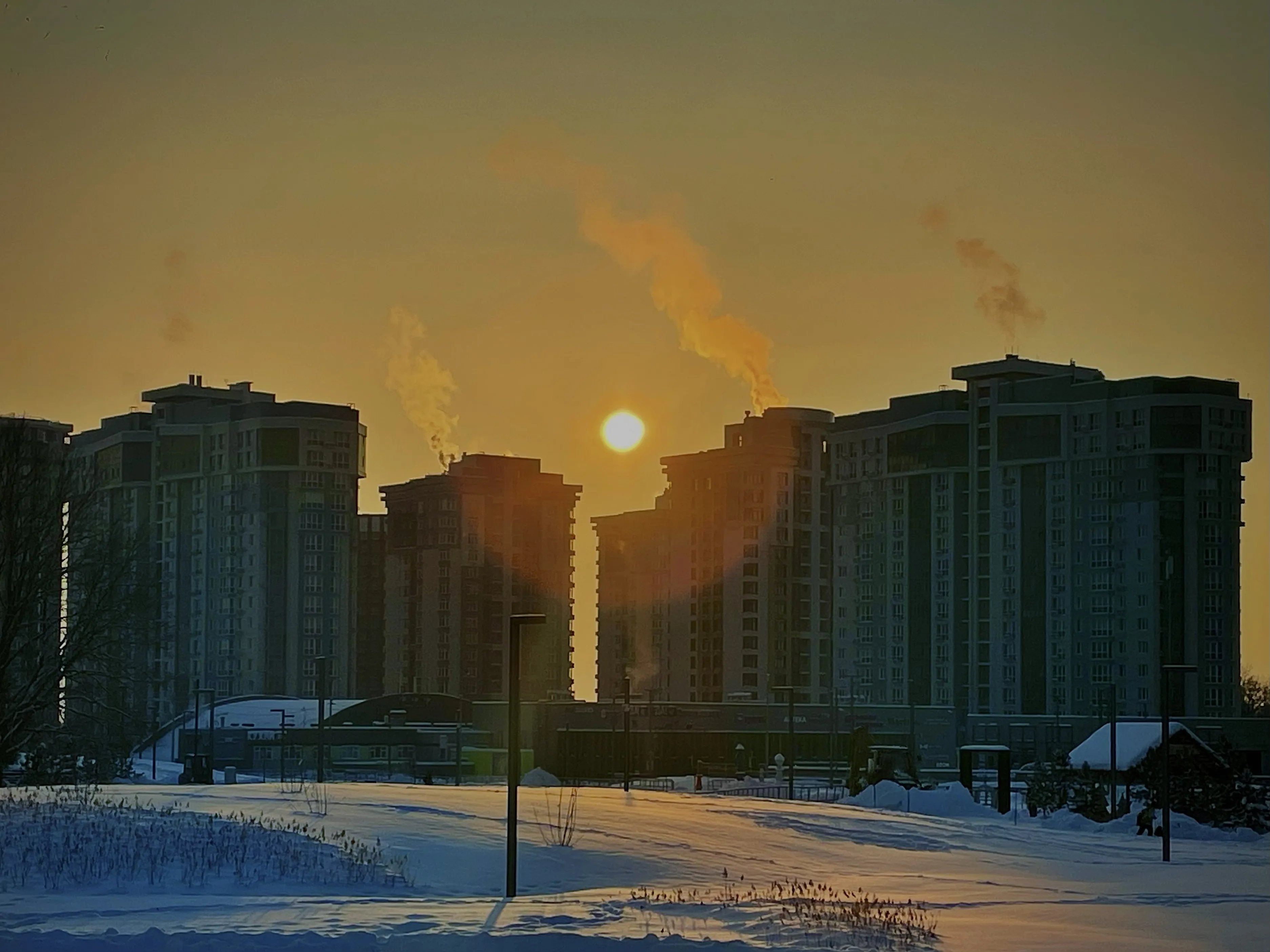 Морозный день