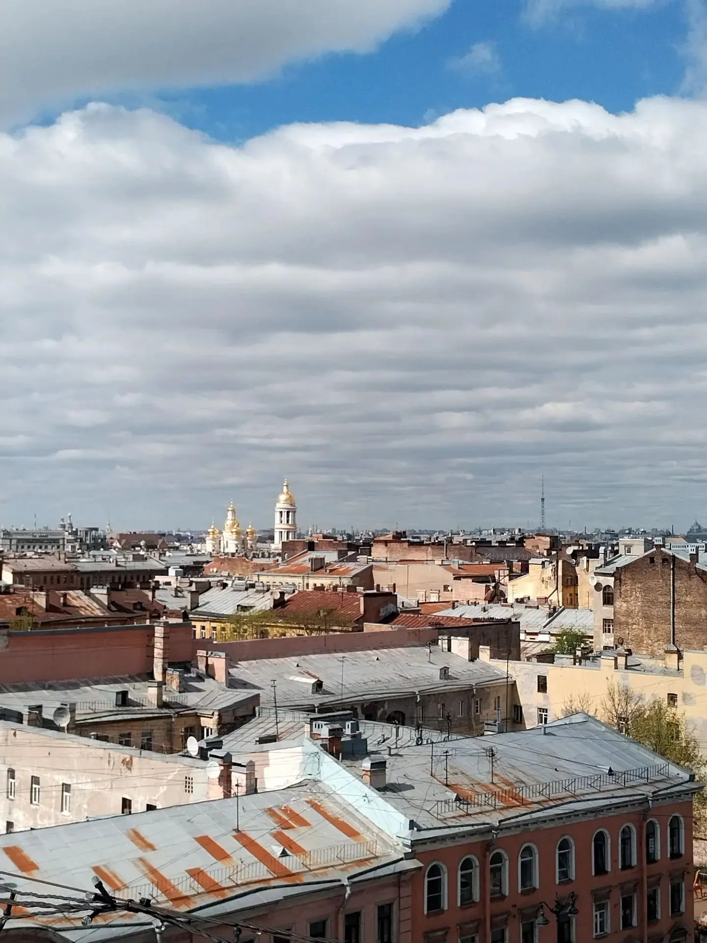 Крыши Петербурга