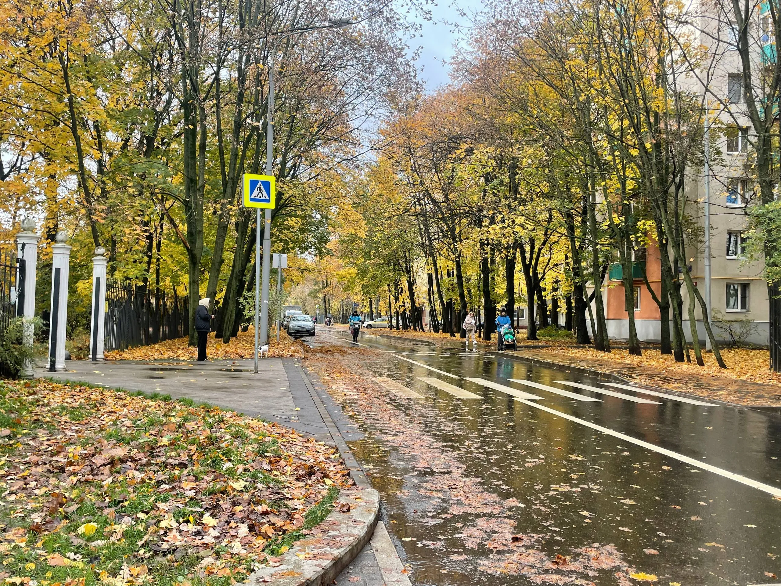 Осень на Тимирязевской