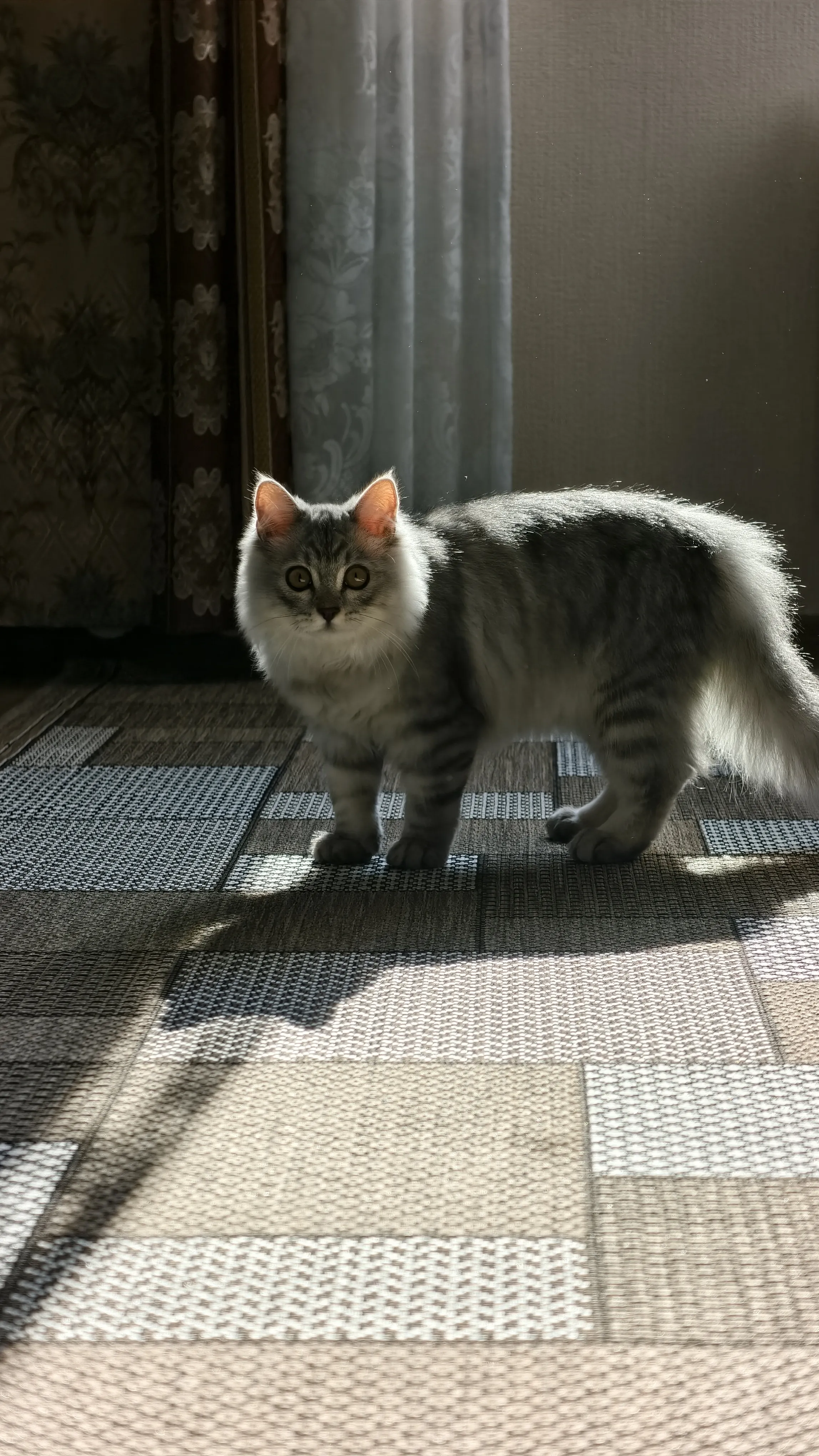 Здравствуйте