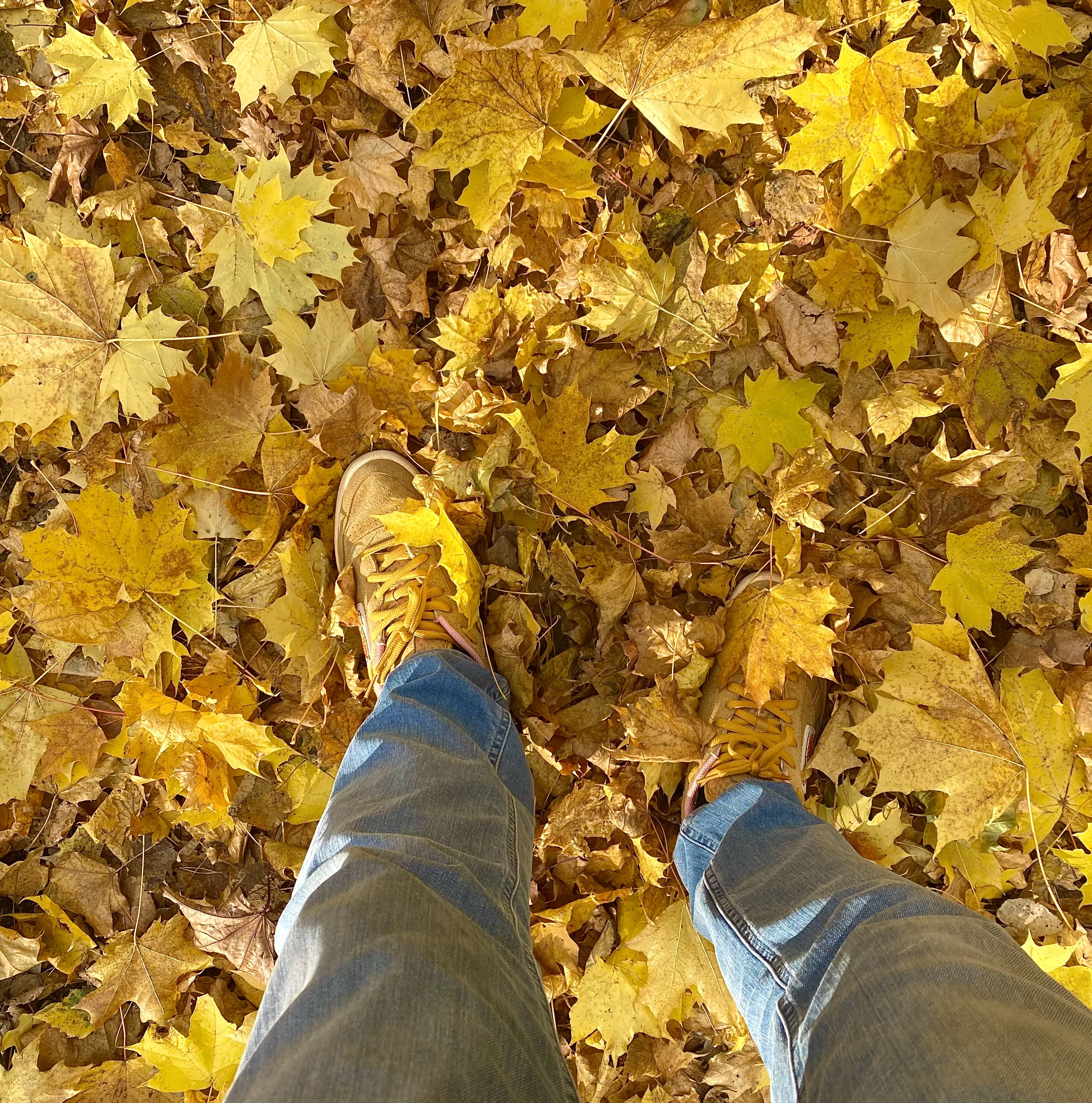 Осень