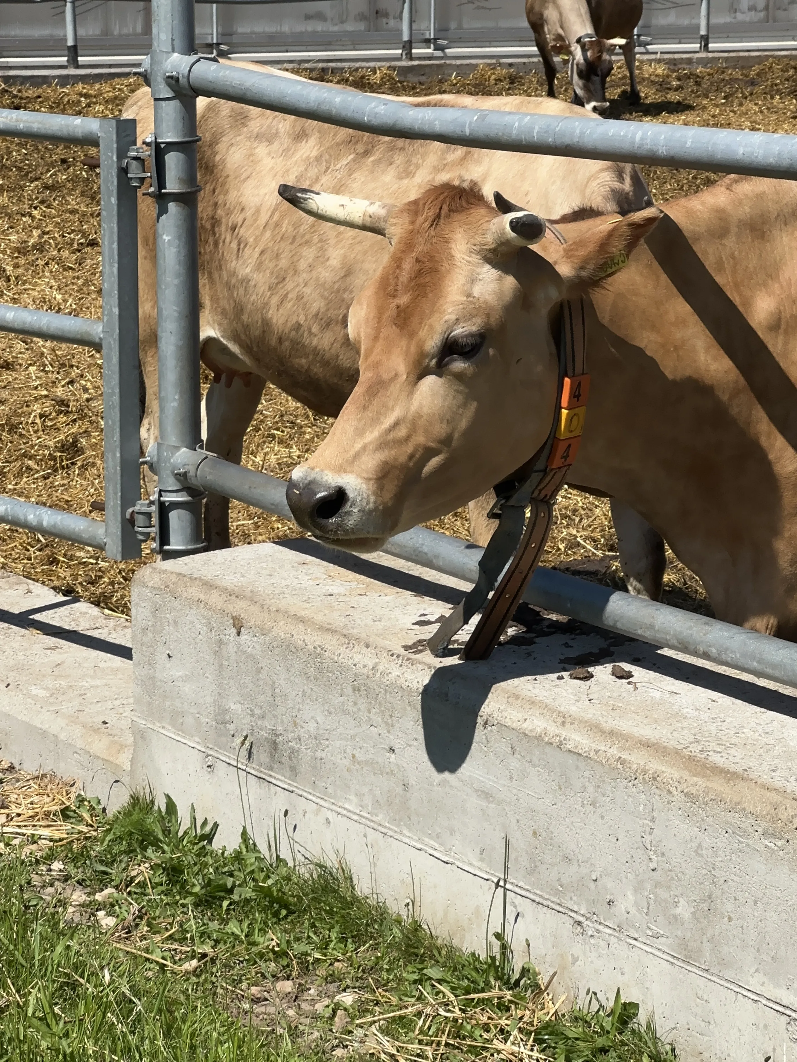 Ошибка 404: Время не найдено