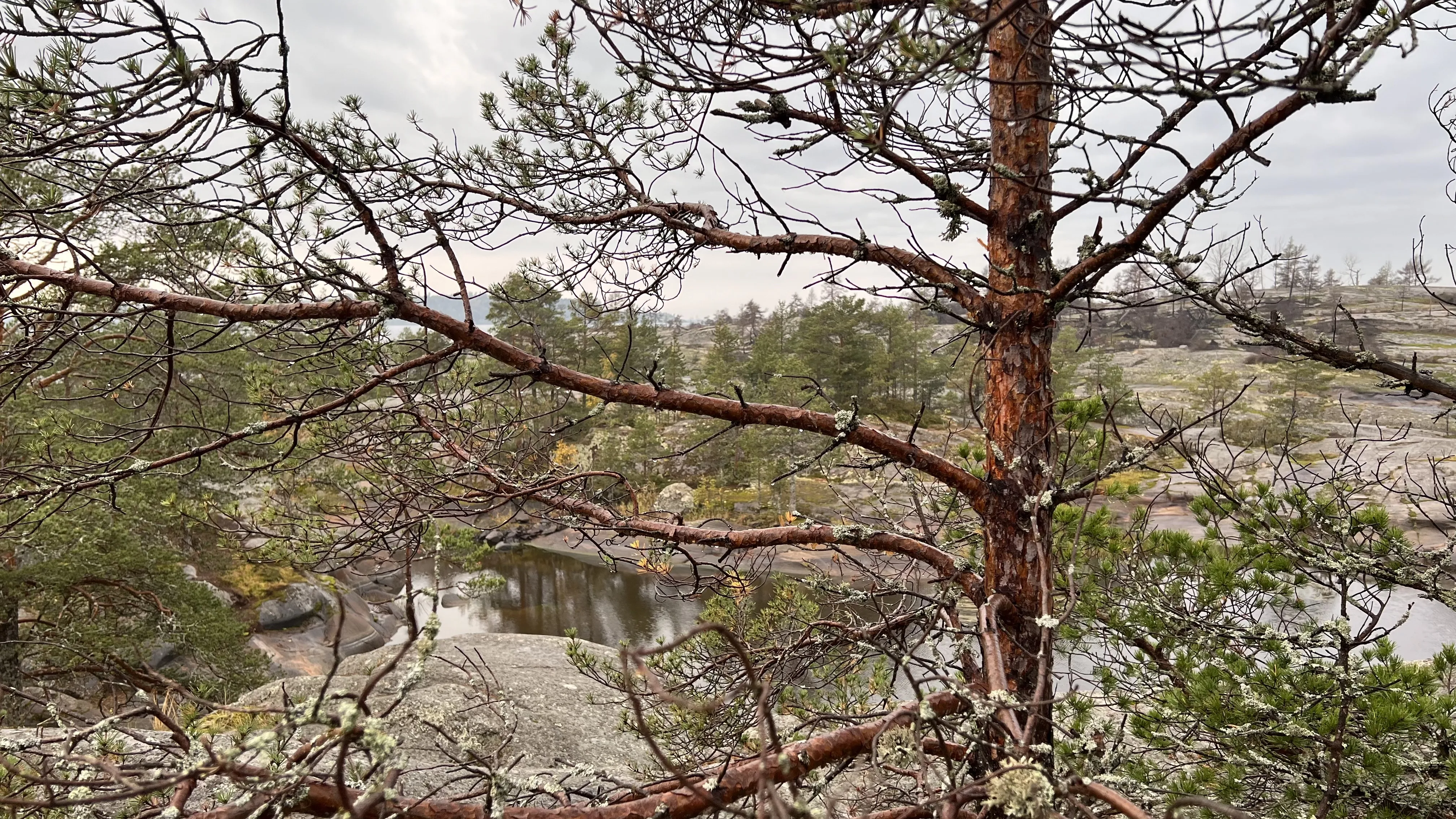 Осень