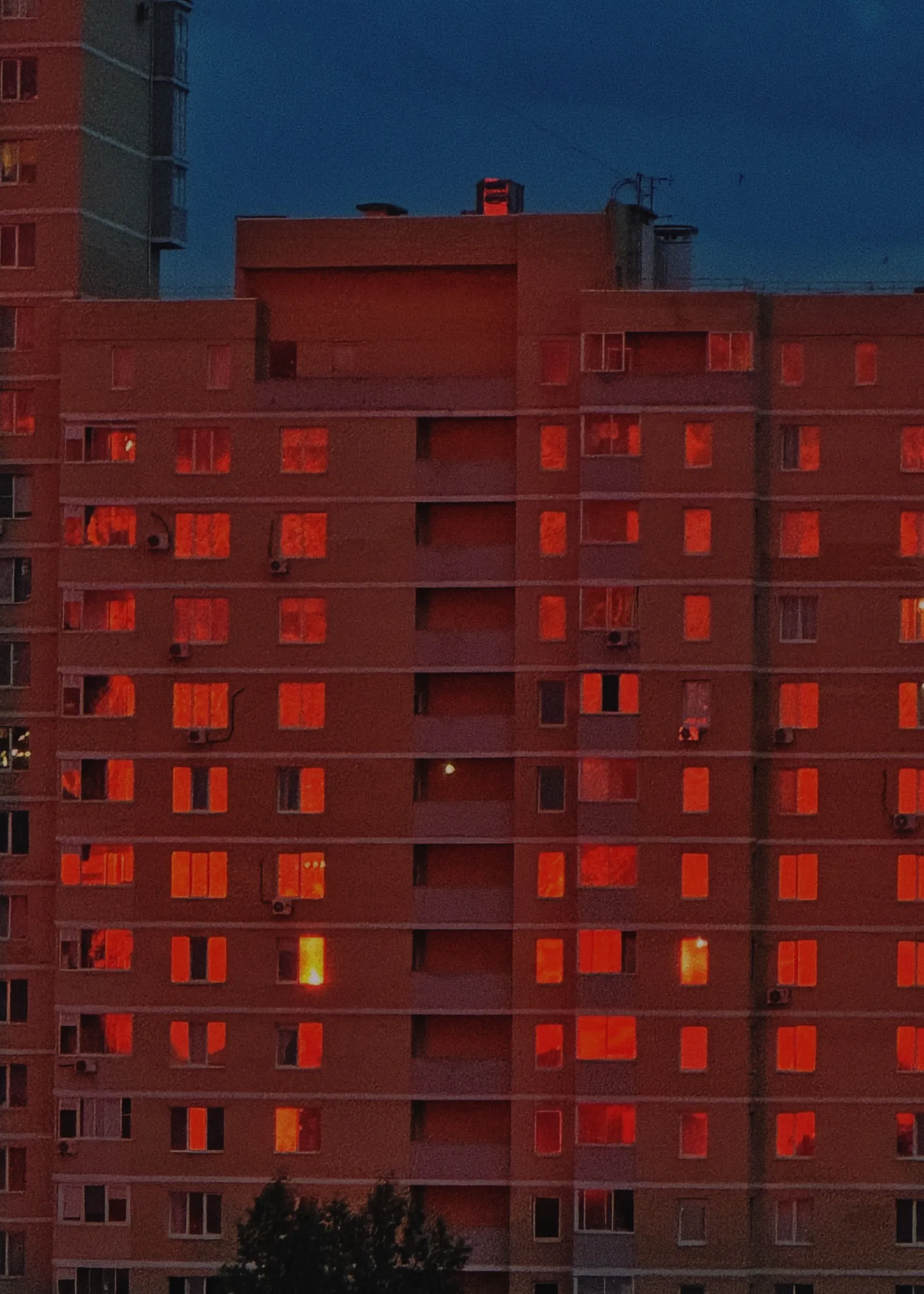 Закатами алыми