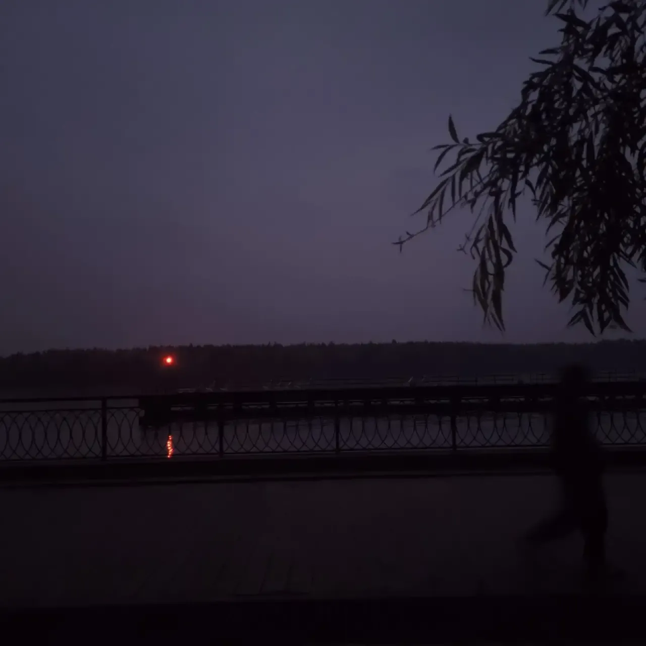 В забытье