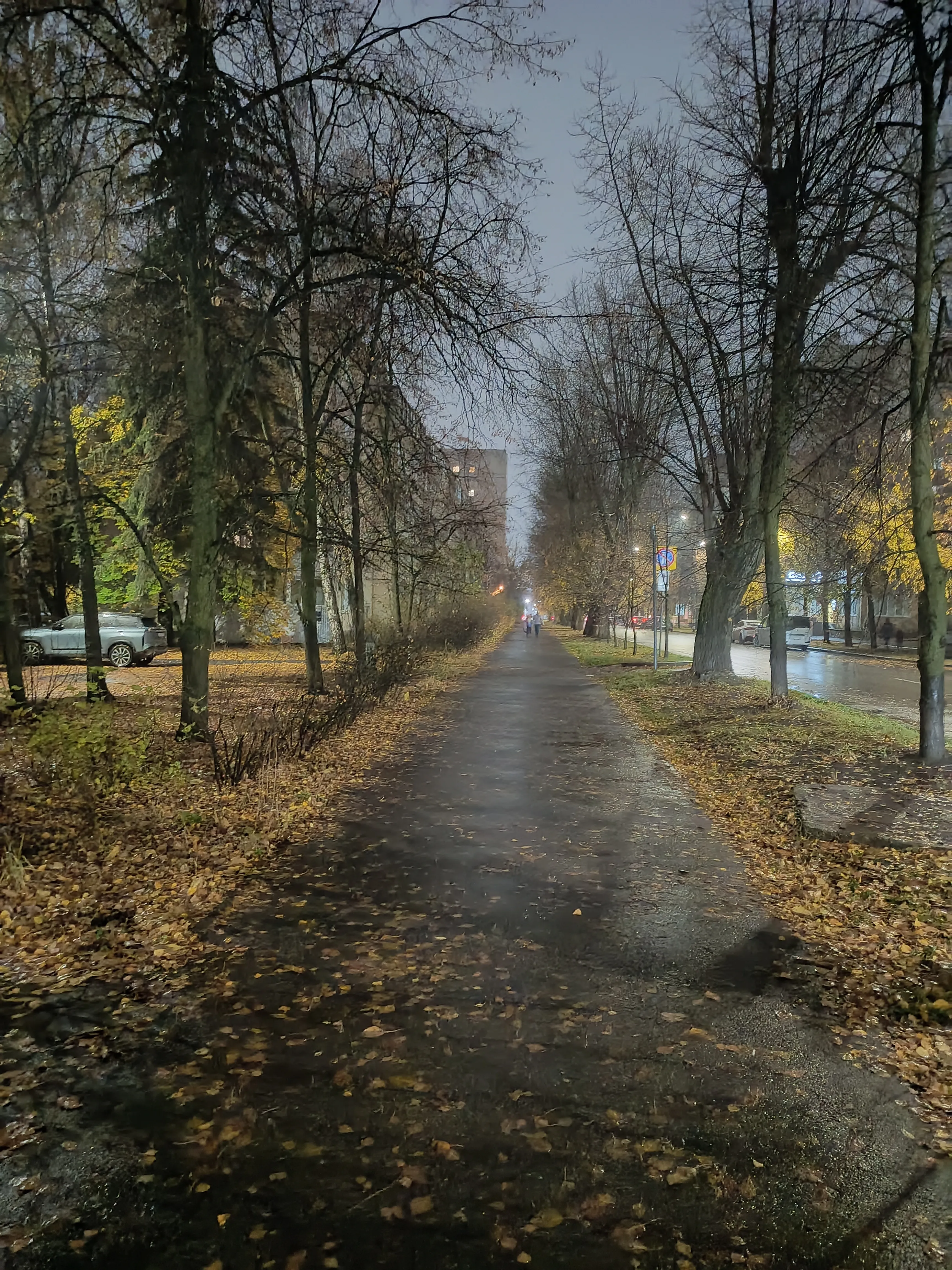 Вечерний Ульяновск (ул. К. Либкнехта).