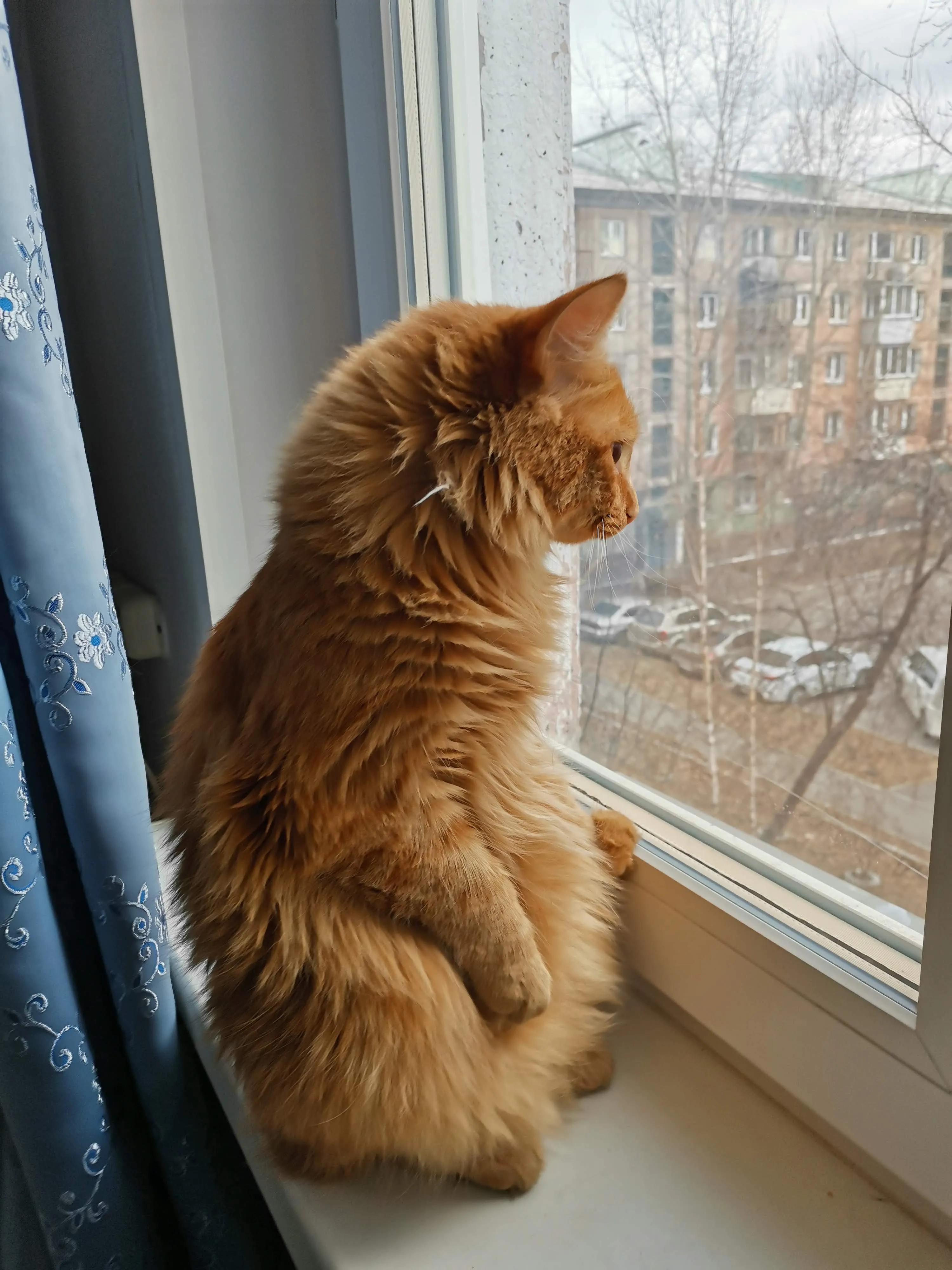 В ожидании…