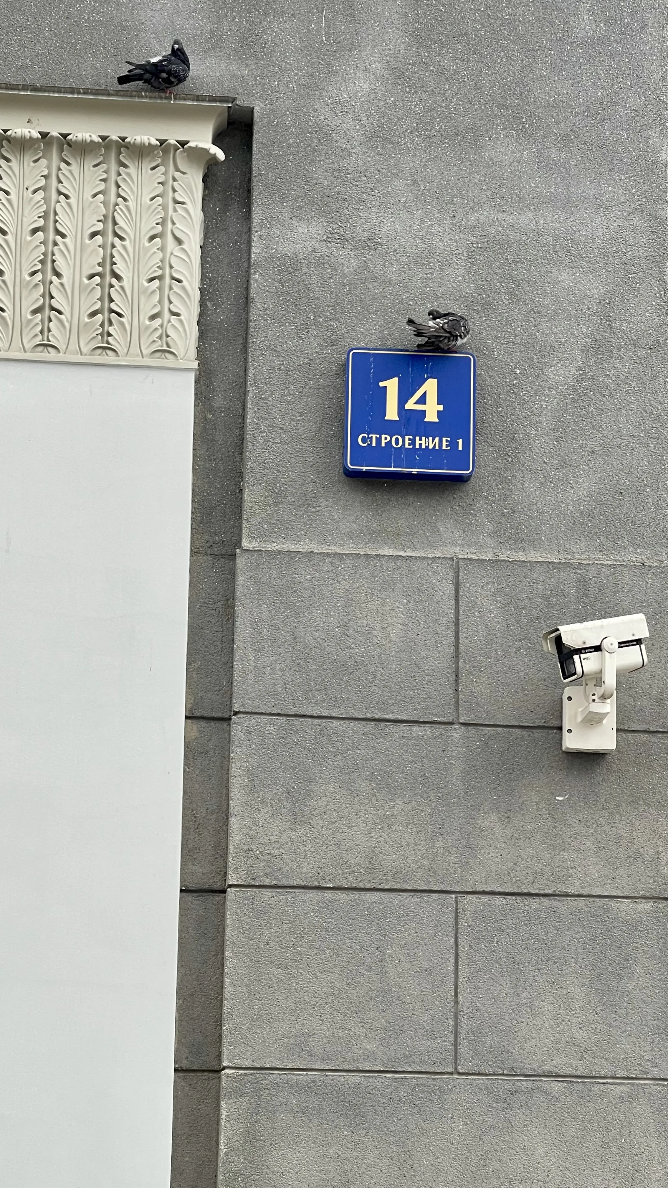 Чистка перышек