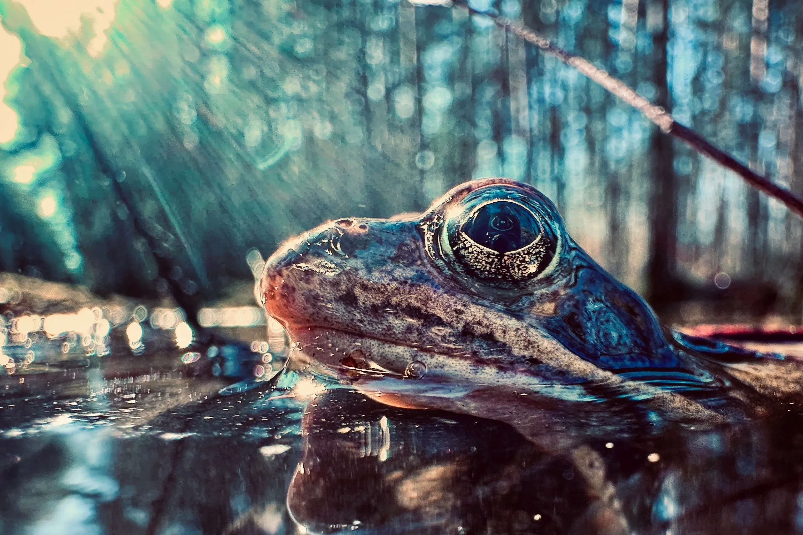 Мой апрель