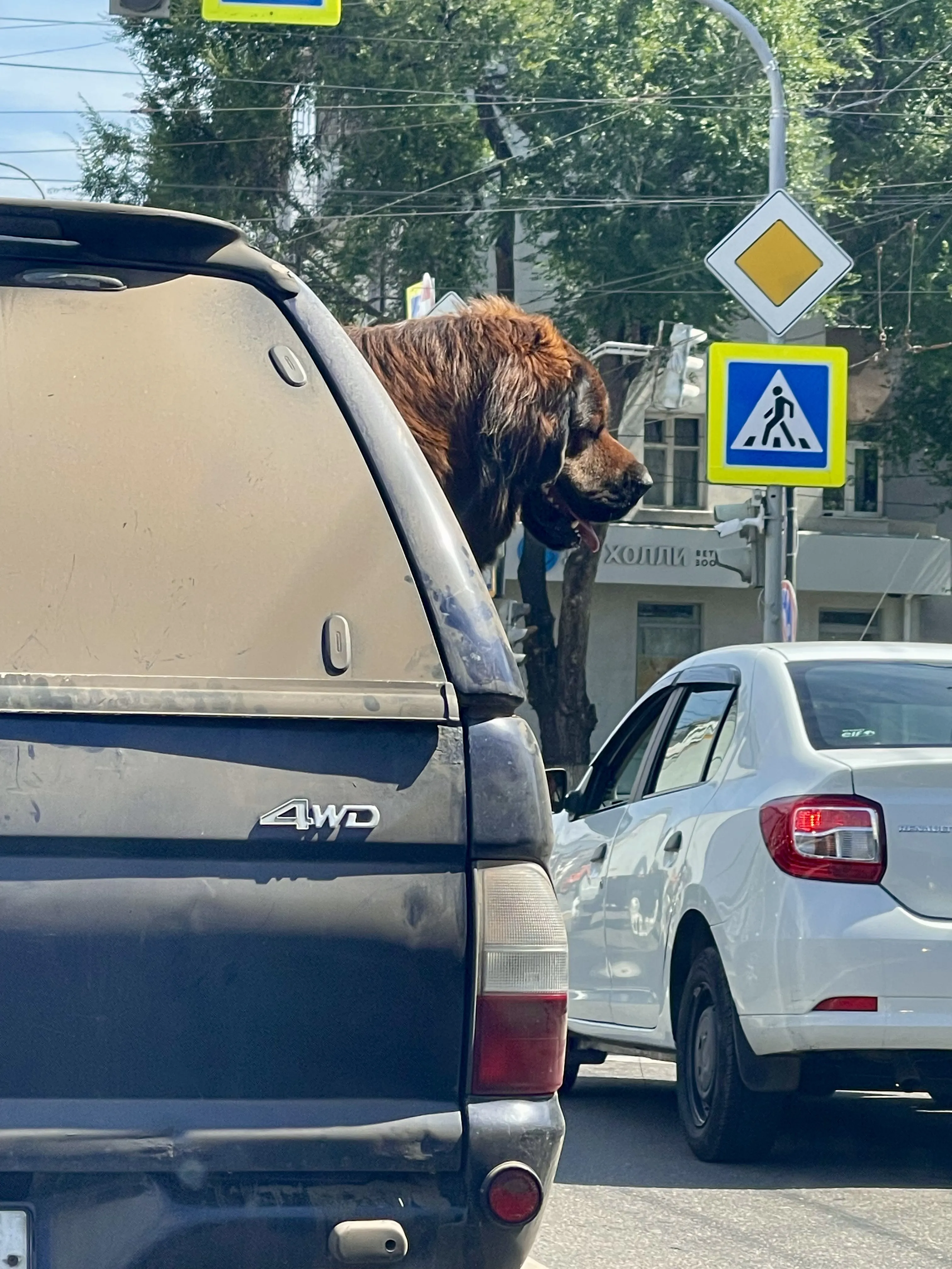 Свобода