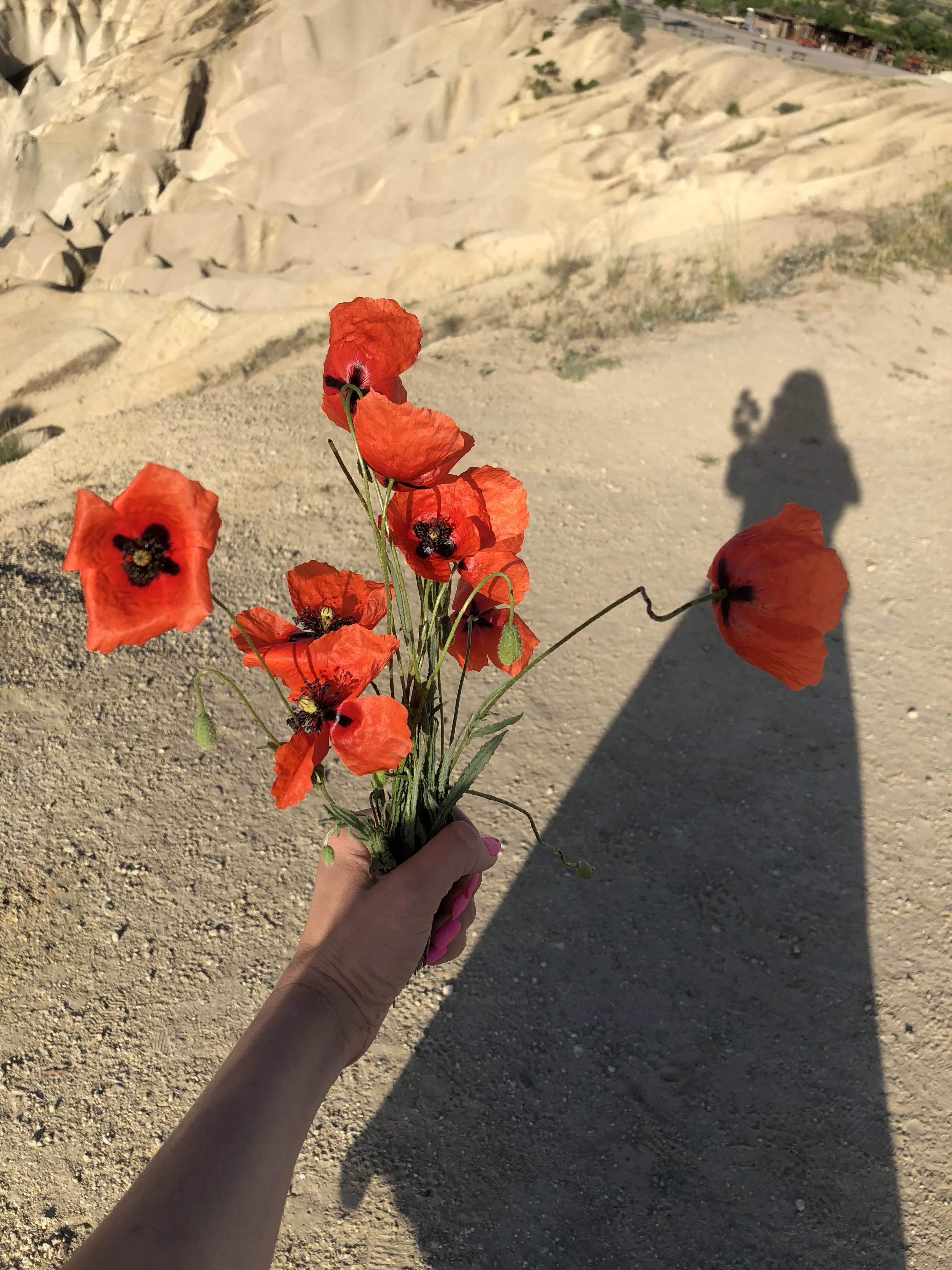 Девушка с цветами