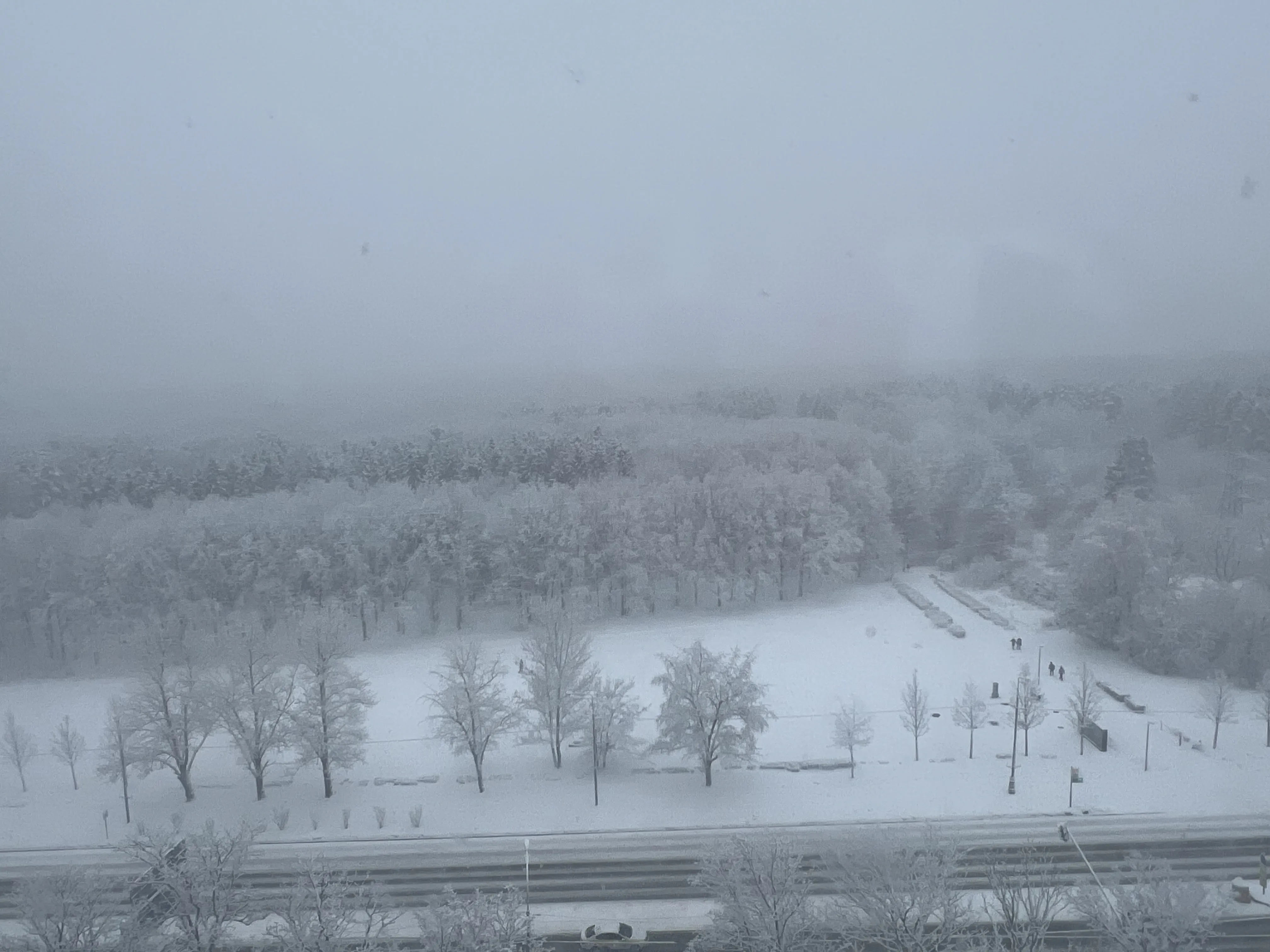 Метель
