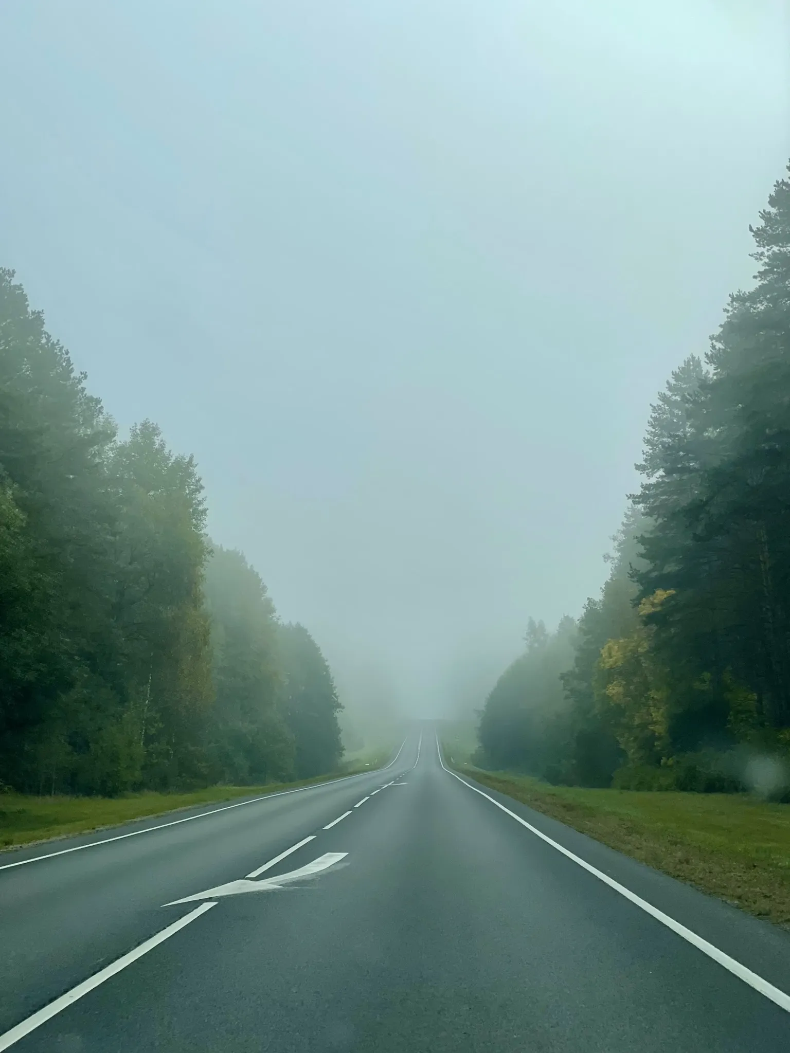 дорога в никуда