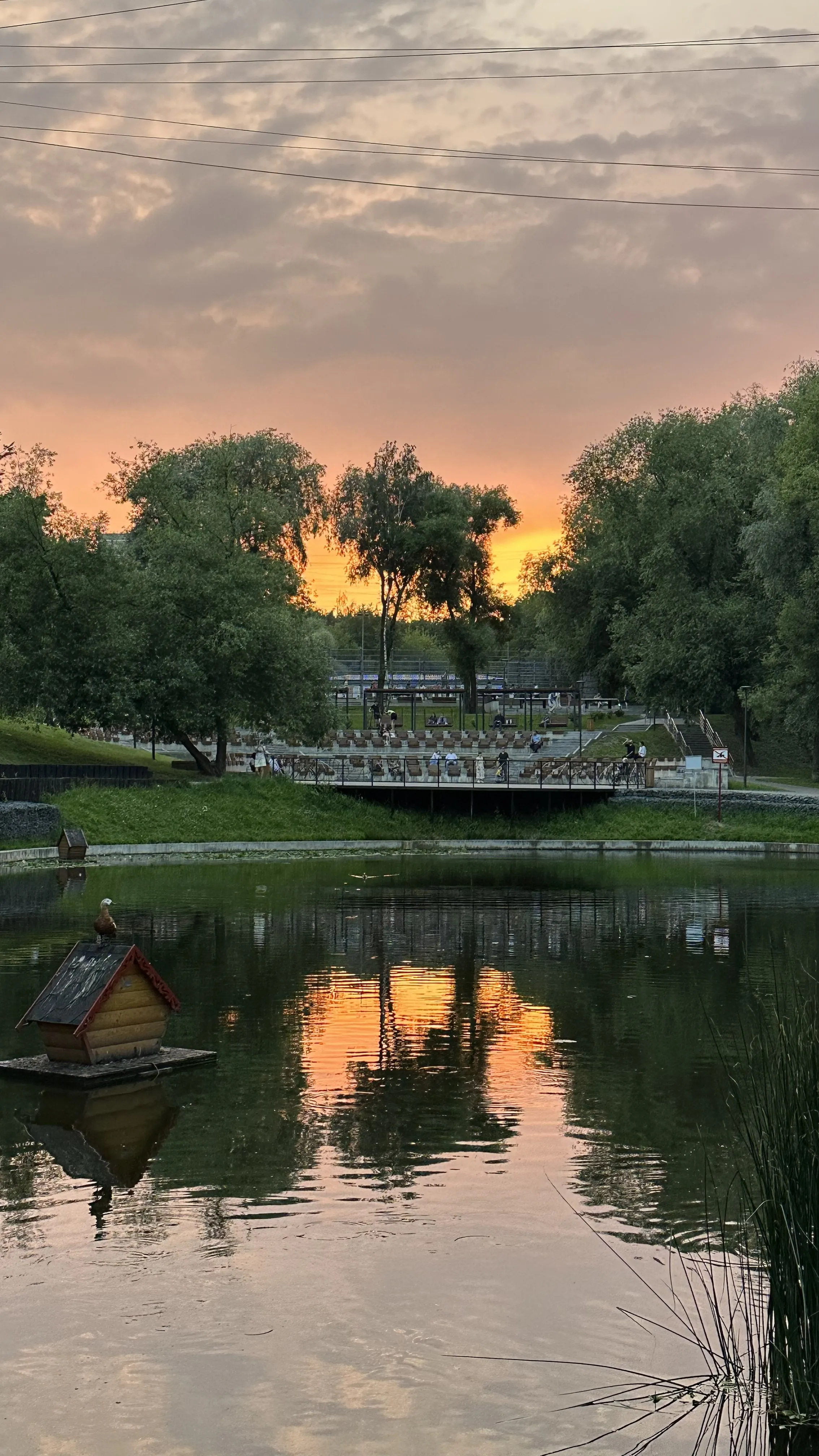 Подмосковные вечера